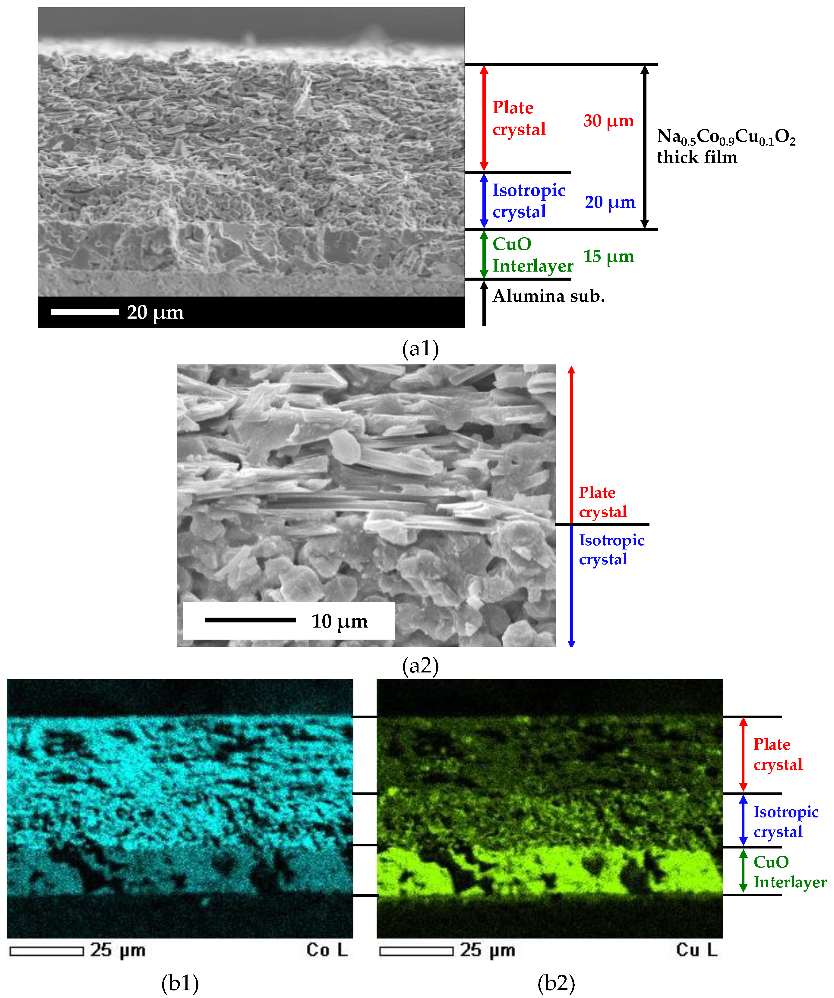 Materials 13 02805 g005