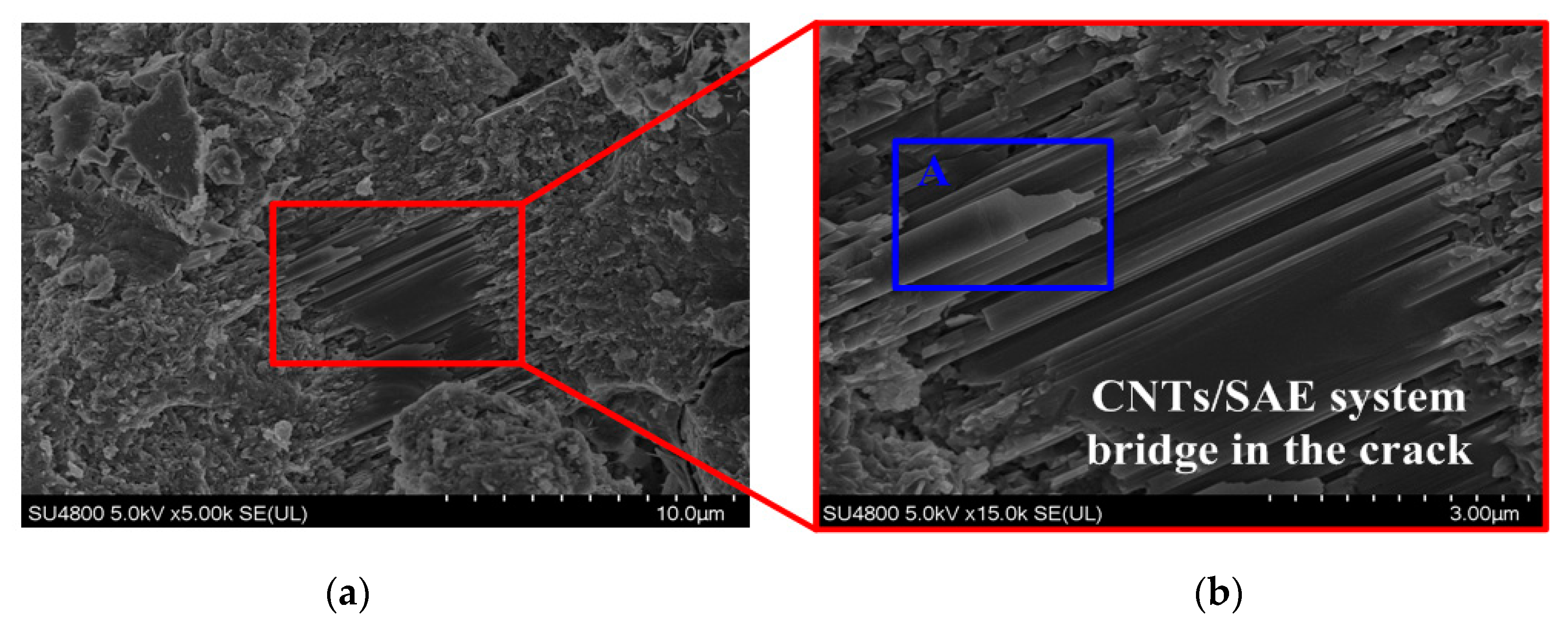 Carbon Nanotube Based Concrete Additives Market Materials | Free Full-Text | Effect of Carbon Nanotube and Styrene