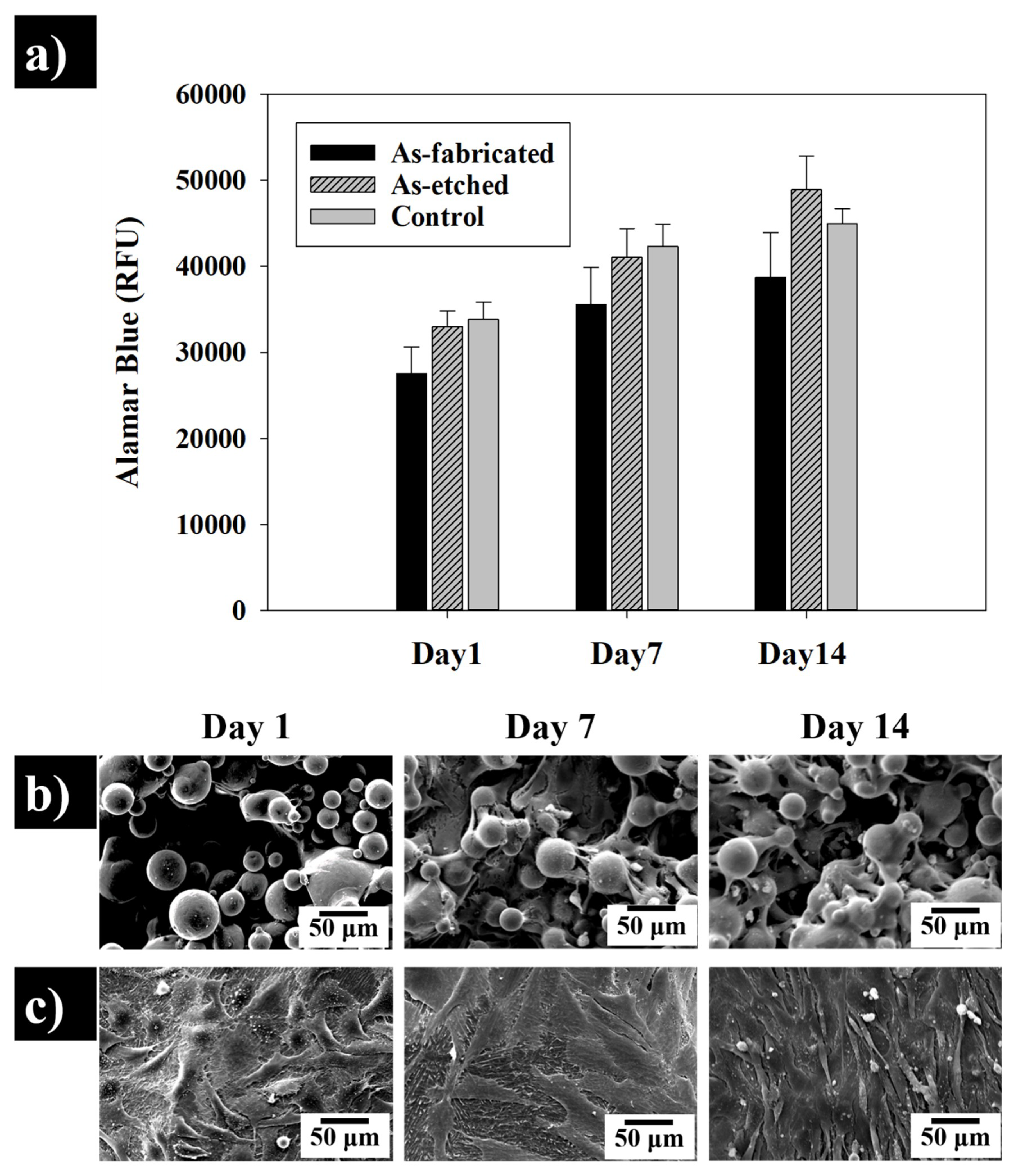 Materials 13 02813 g011 Materials 13 02813 g011