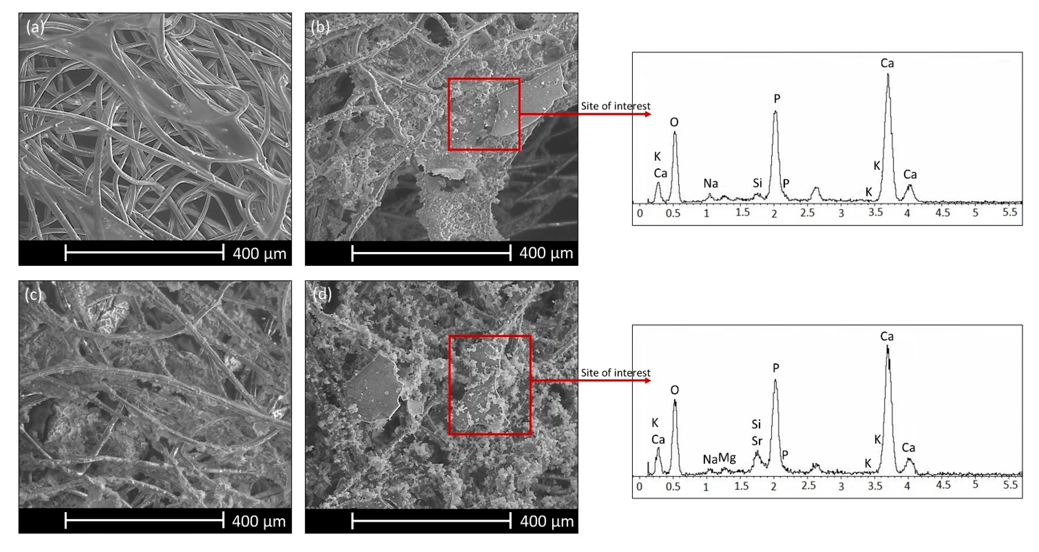 Materials 13 02819 g004