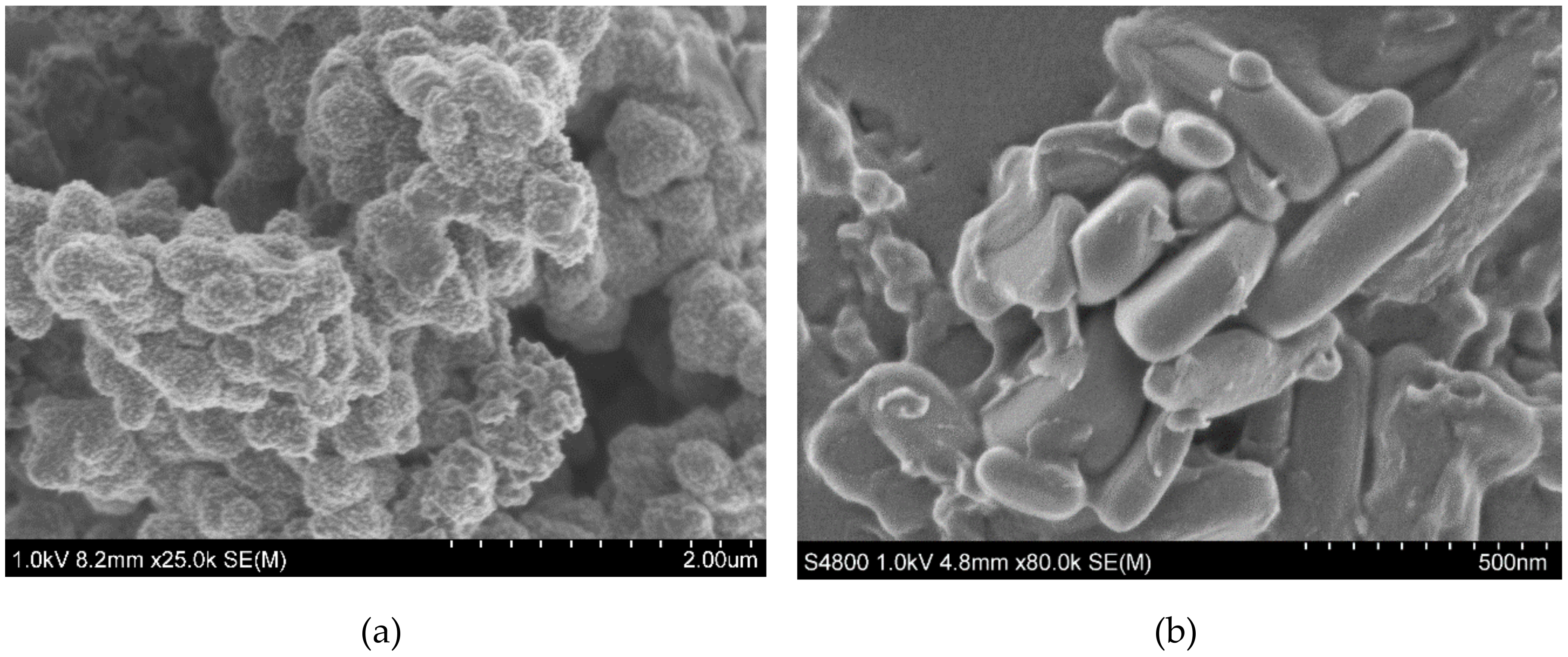 Materials 13 02834 g007a Materials 13 02834 g007a