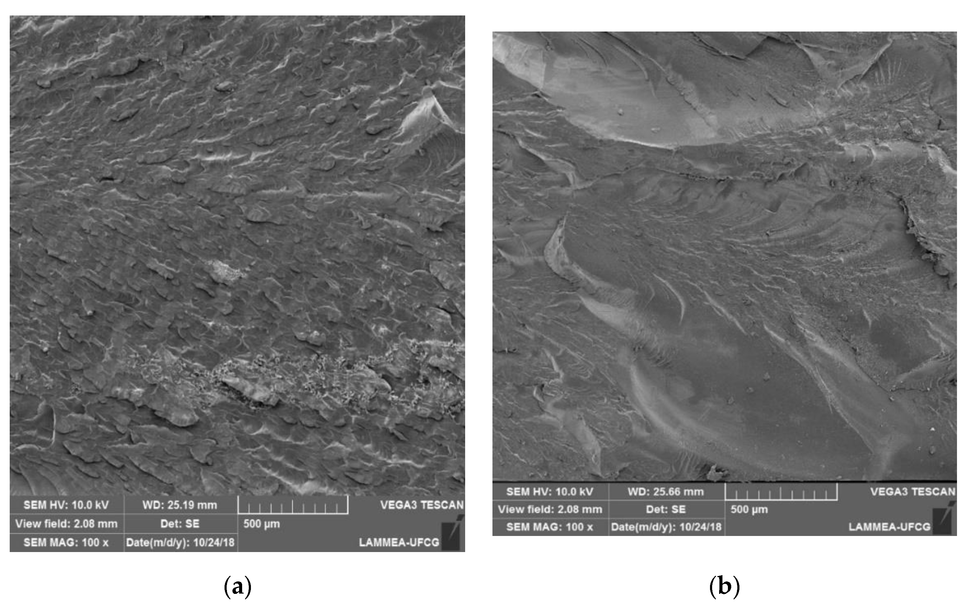Materials 13 02844 g008