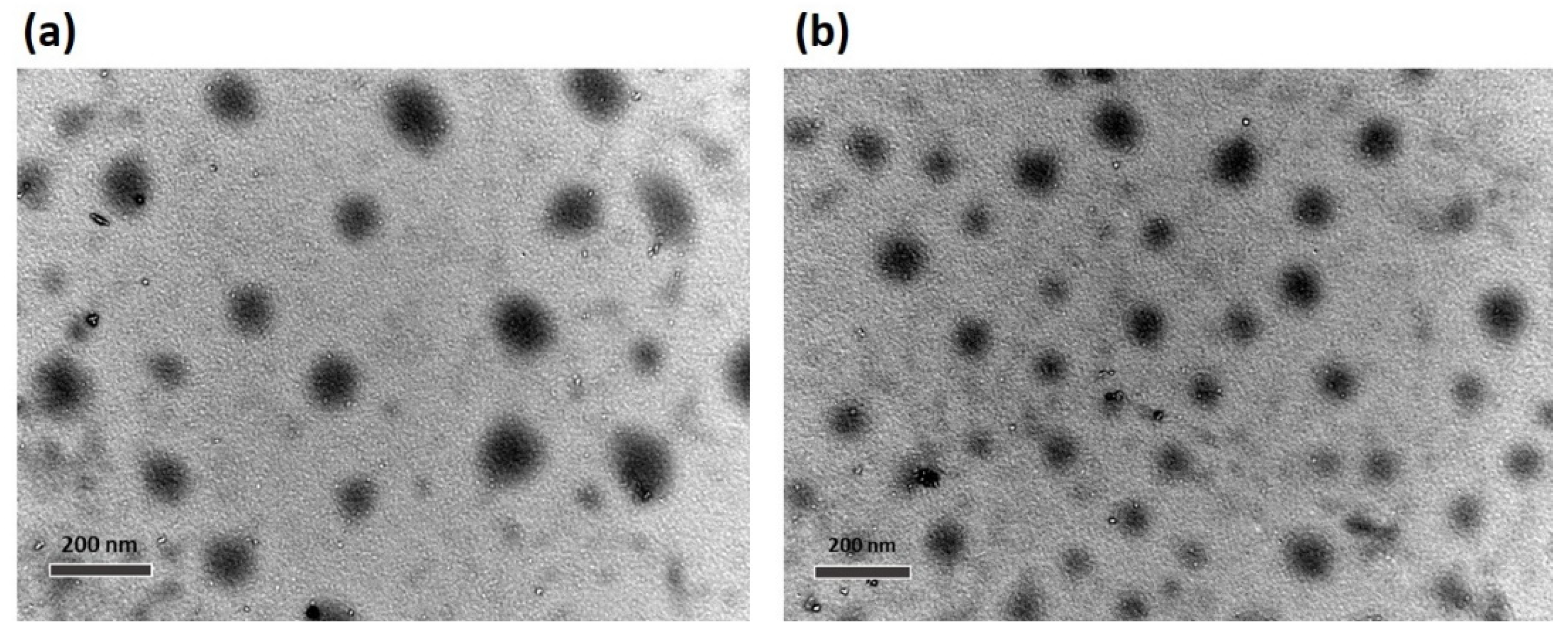 Materials 13 02846 g006