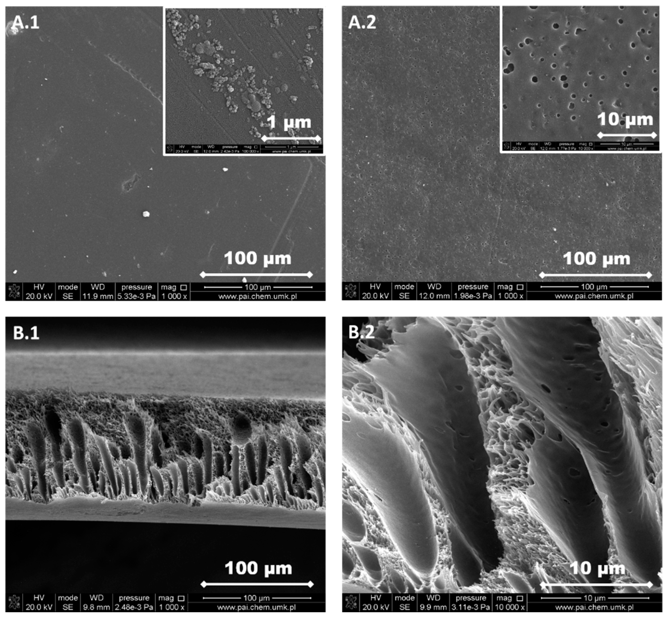 Materials 13 02847 g006