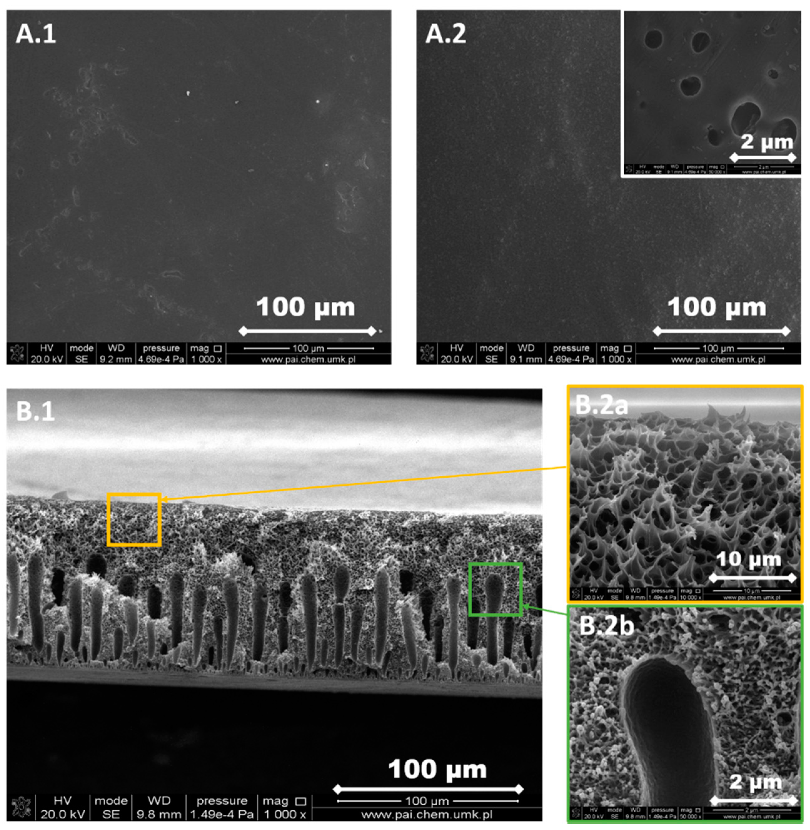 Materials 13 02847 g007