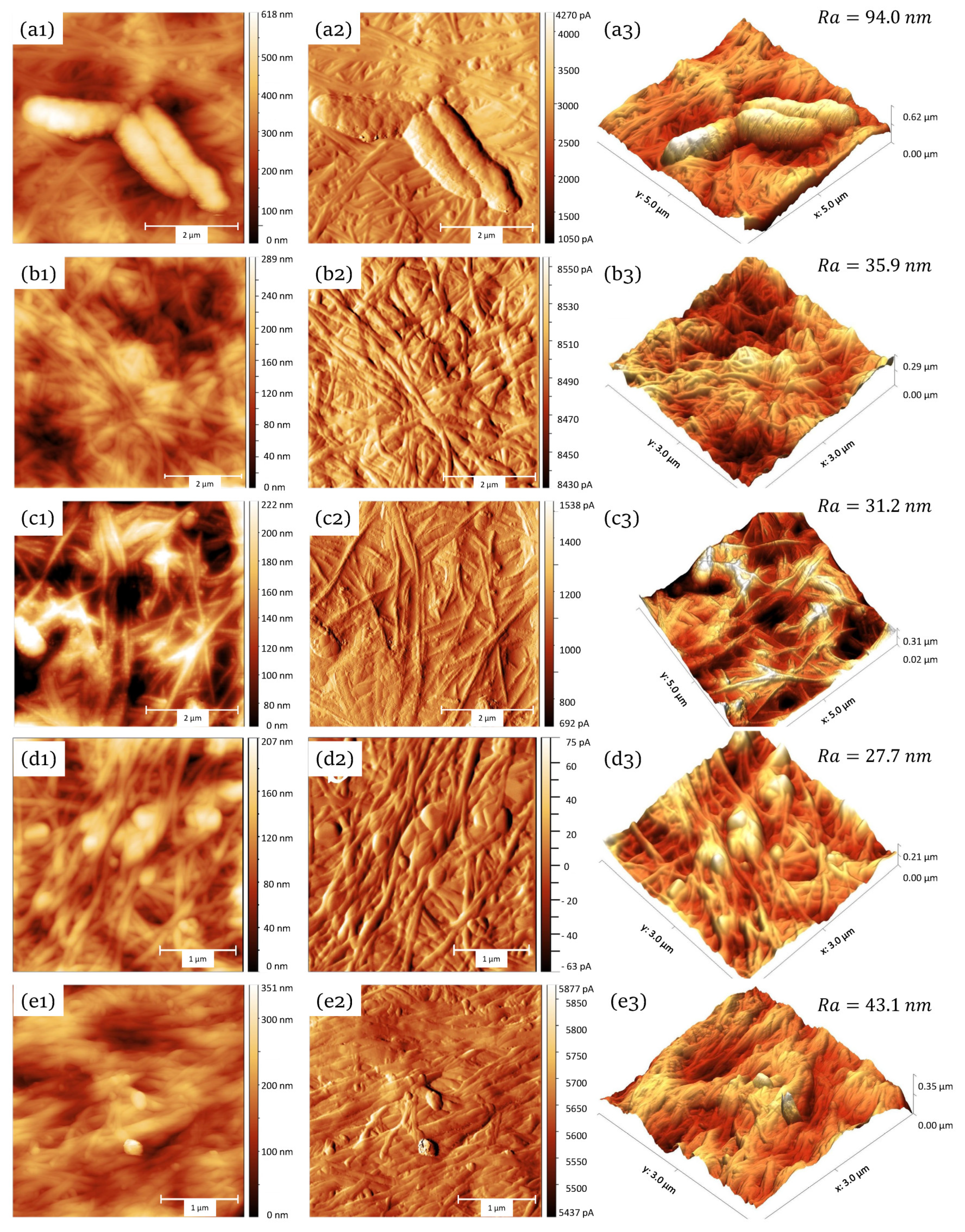 Materials 13 02849 g005