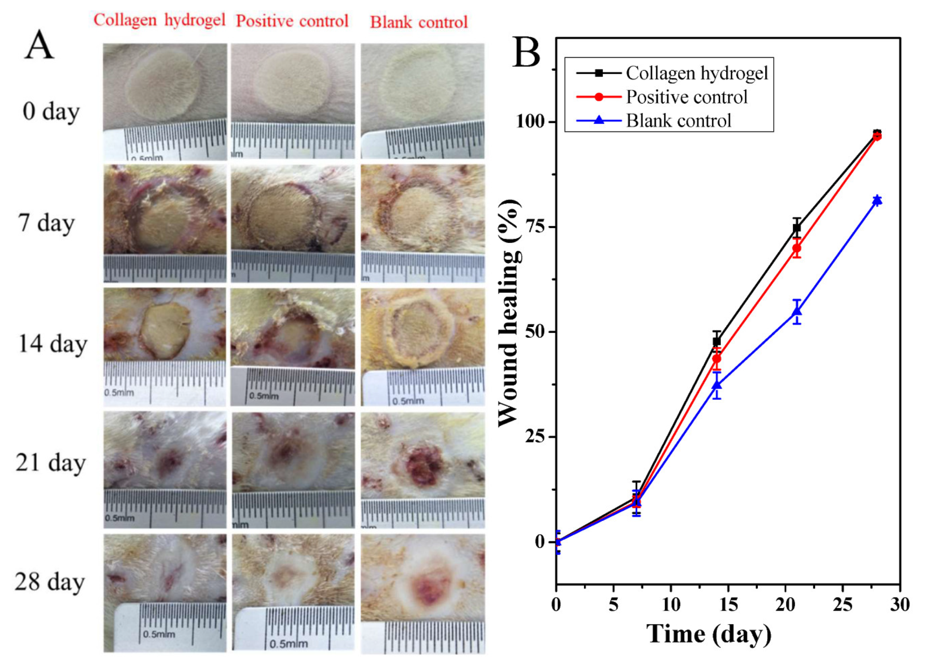 Materials 13 02853 g004 Materials 13 02853 g004