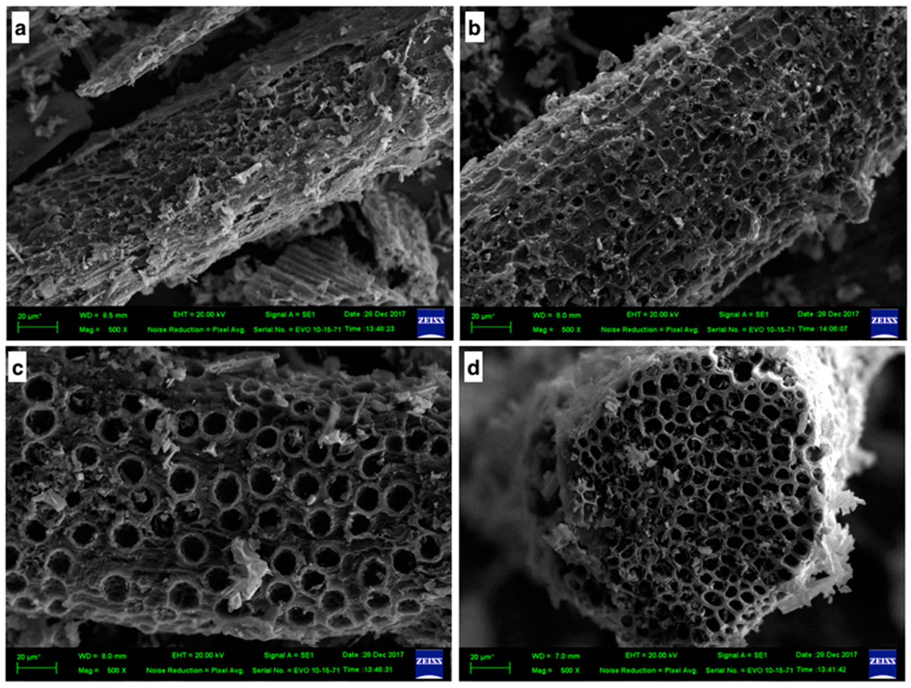 Materials 13 02876 g002