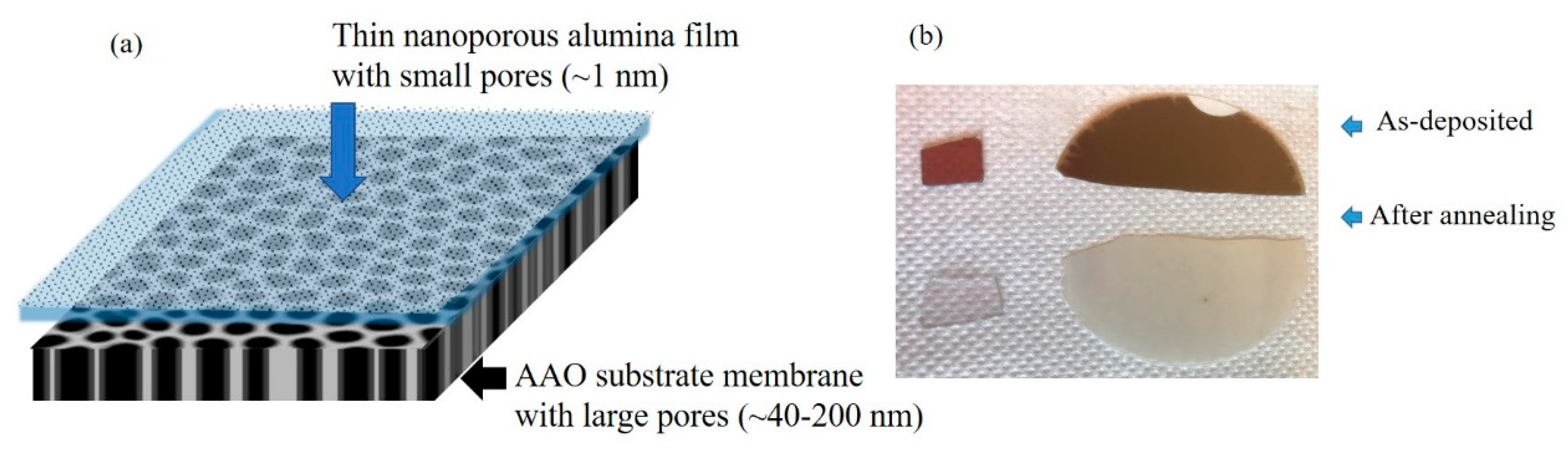 Materials 13 02883 g001