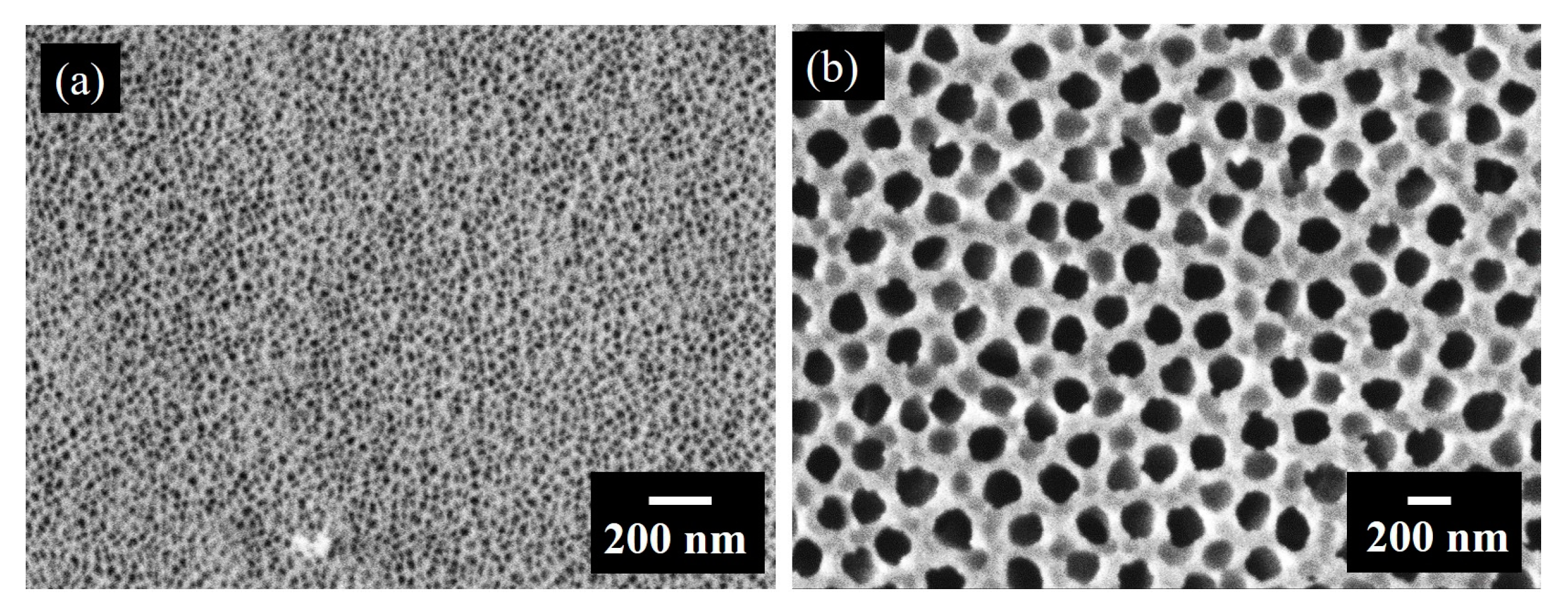 Materials 13 02883 g004