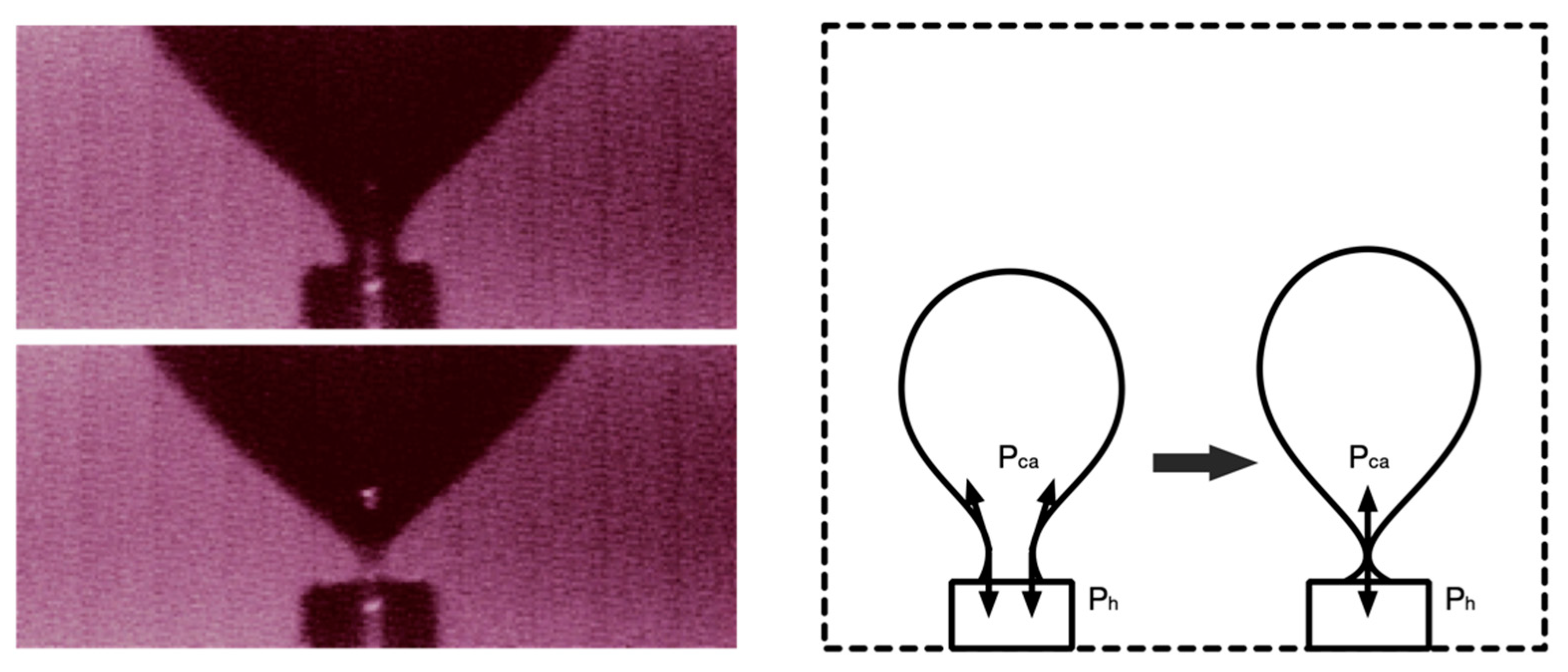 Materials 13 02887 g009 Materials 13 02887 g009