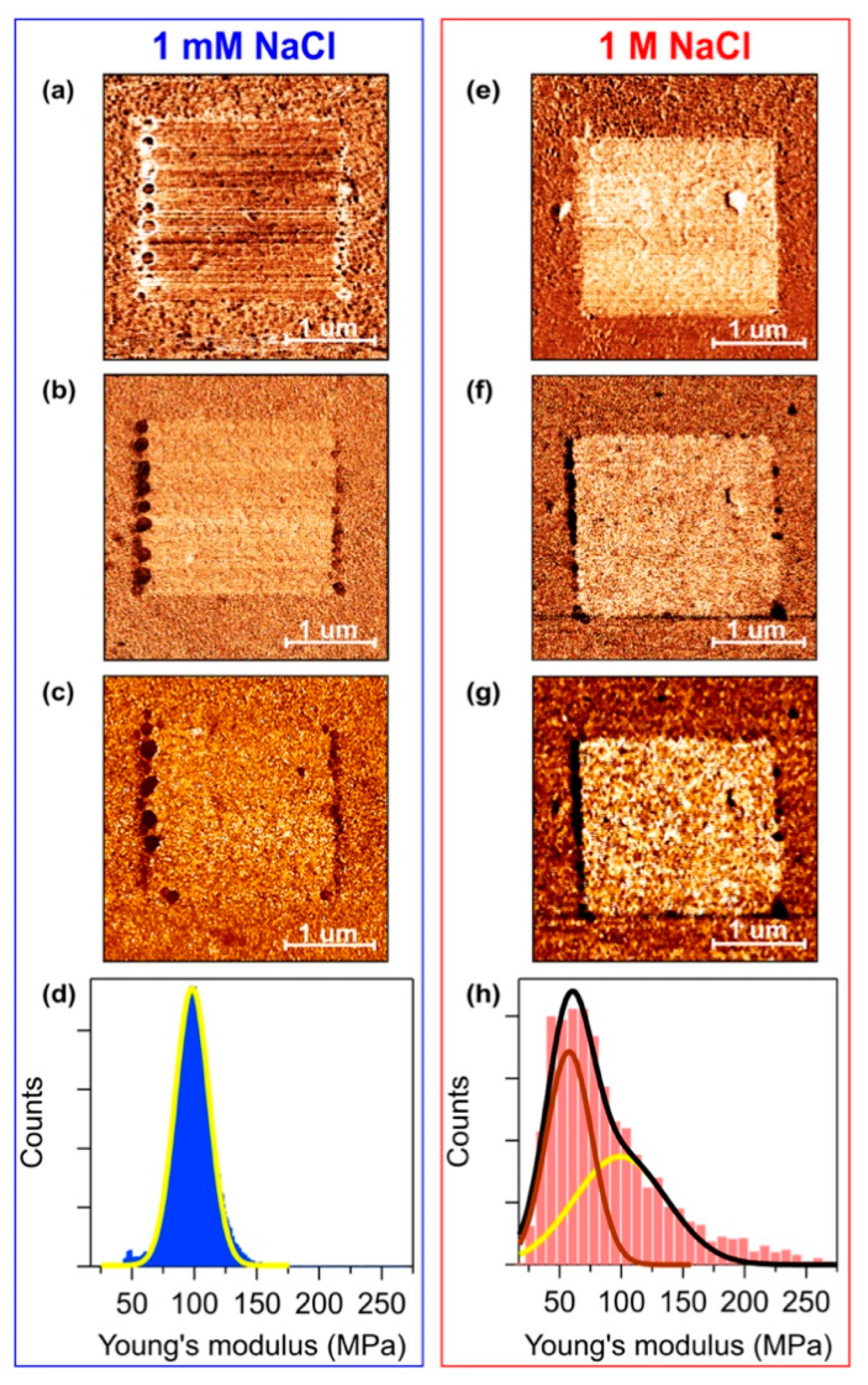 Materials 13 02888 g002 Materials 13 02888 g002