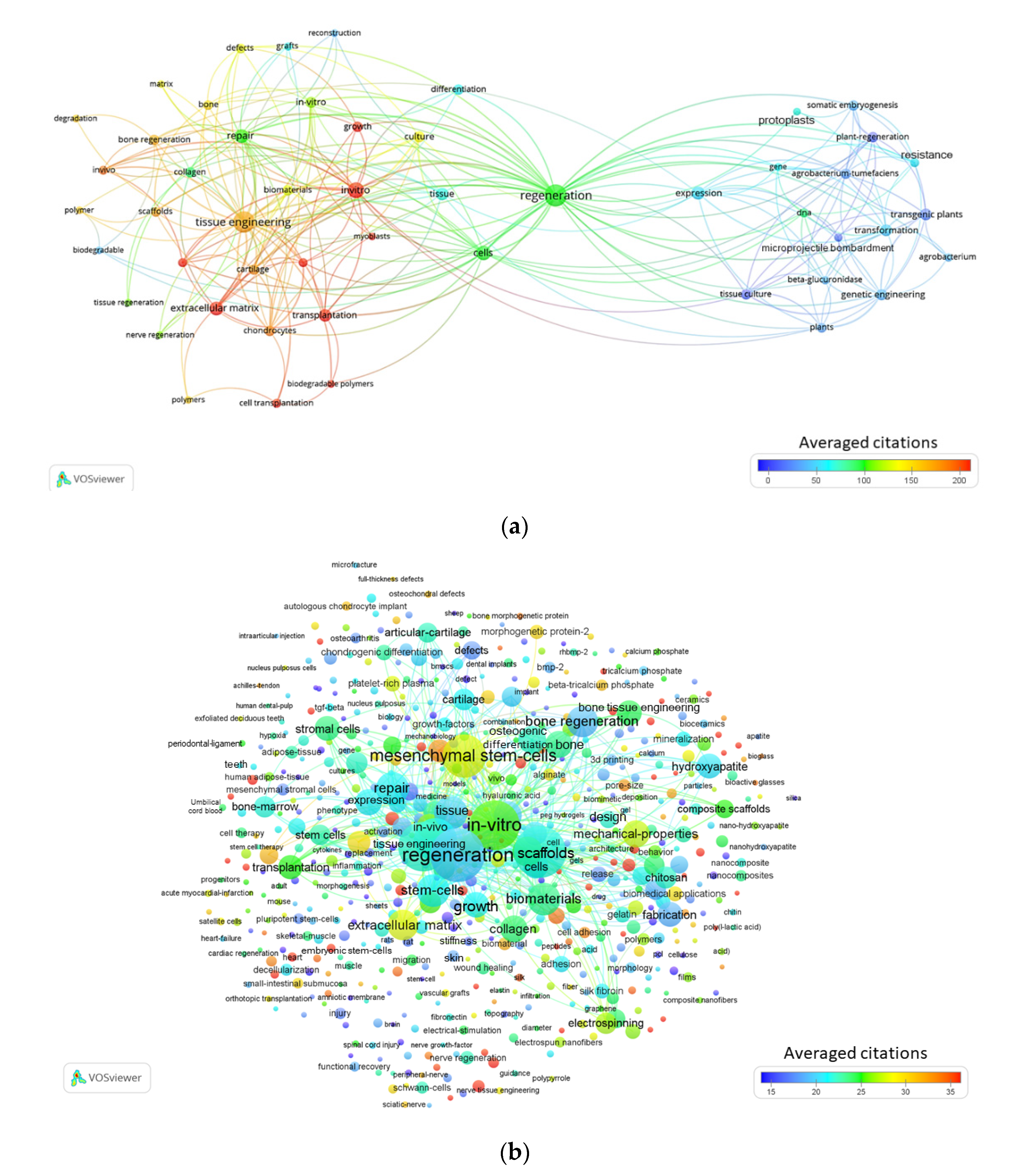 Materials 13 02891 g002 Materials 13 02891 g002