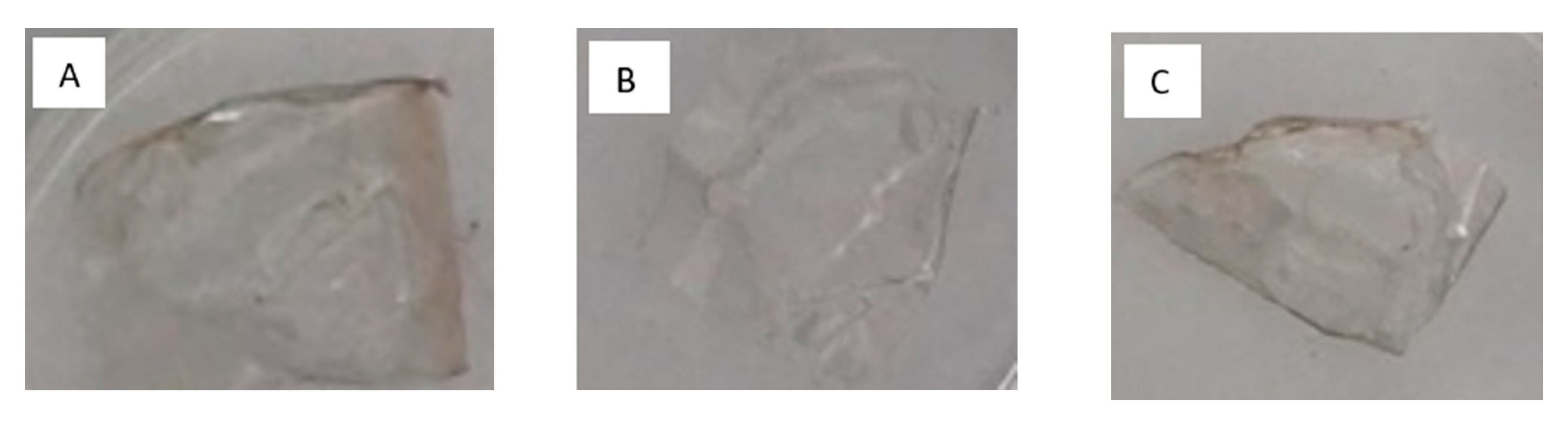 Materials 13 02895 g003a Materials 13 02895 g003a