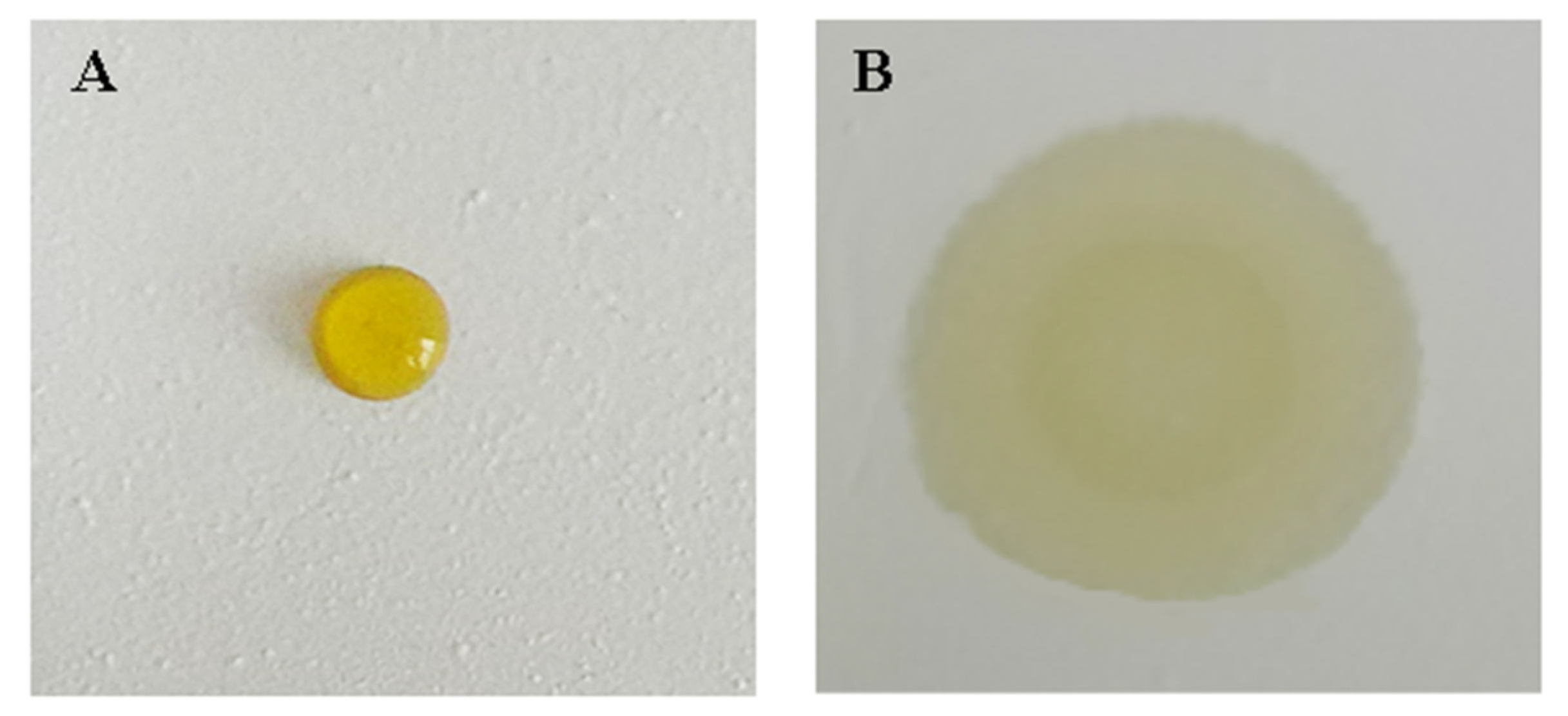 Materials 13 02903 g005