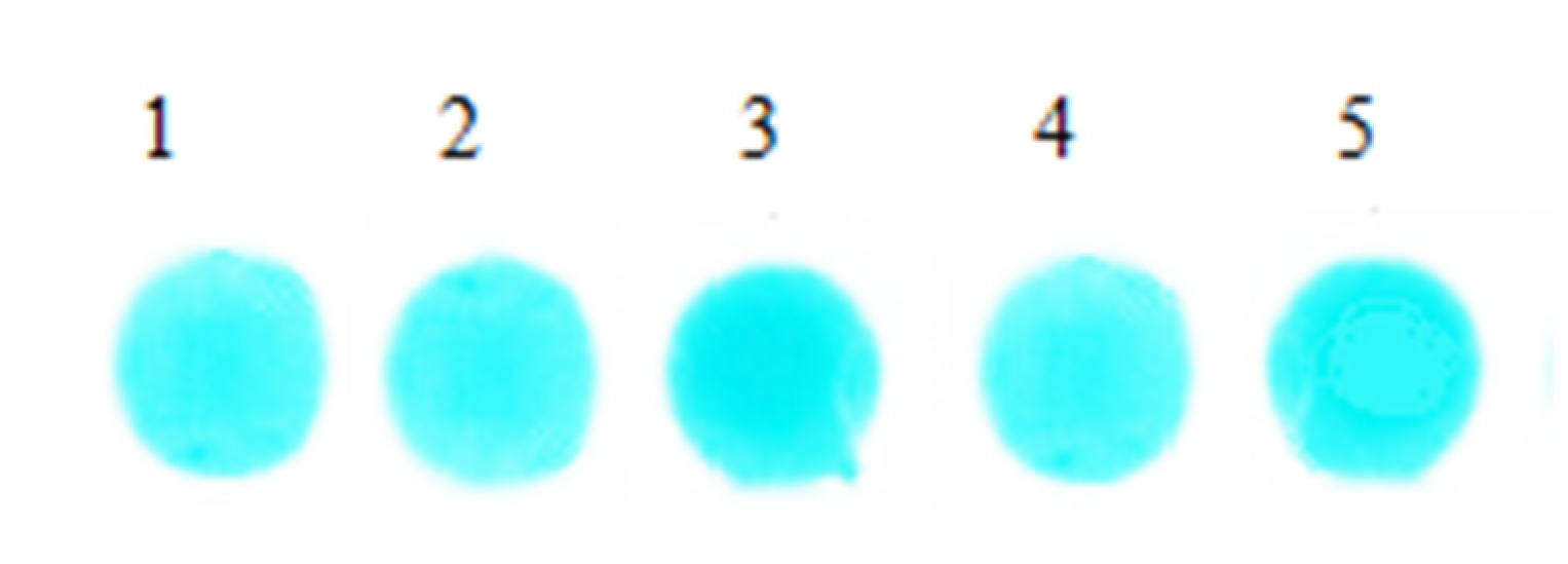 Materials 13 02903 g008