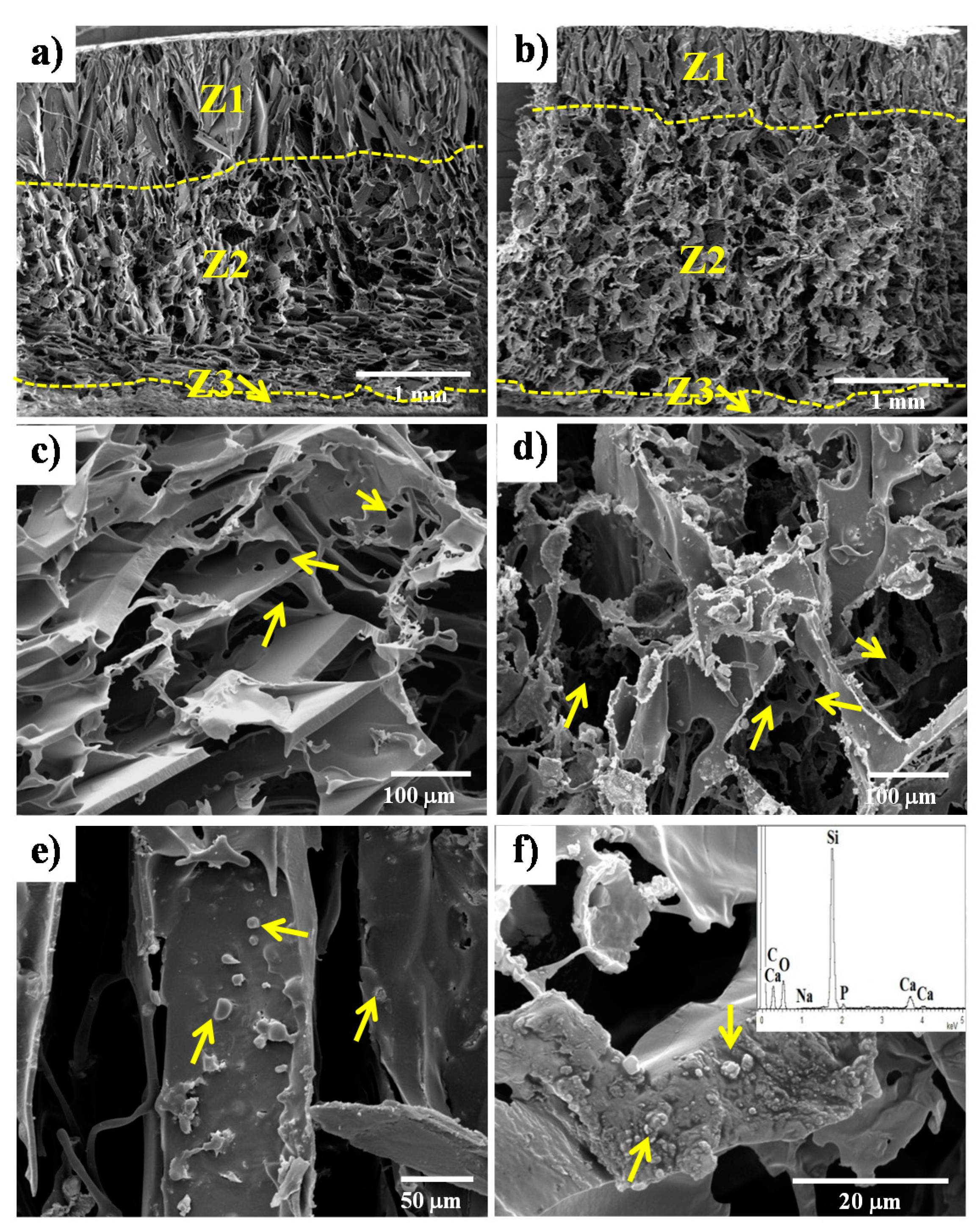 Materials 13 02908 g001