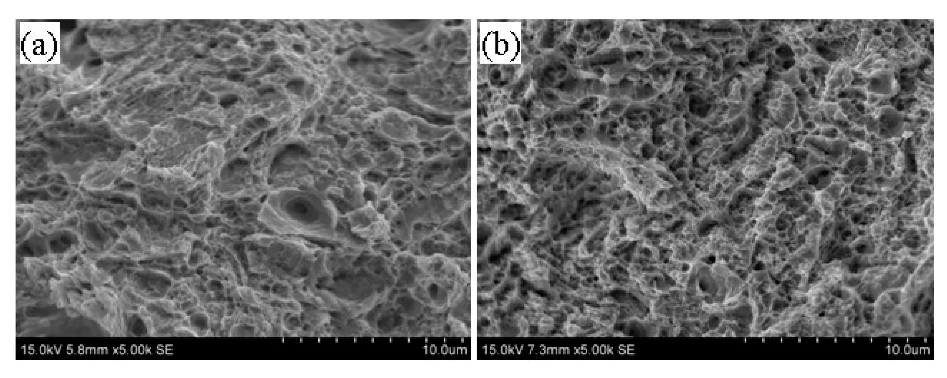 Materials 13 02910 g009a