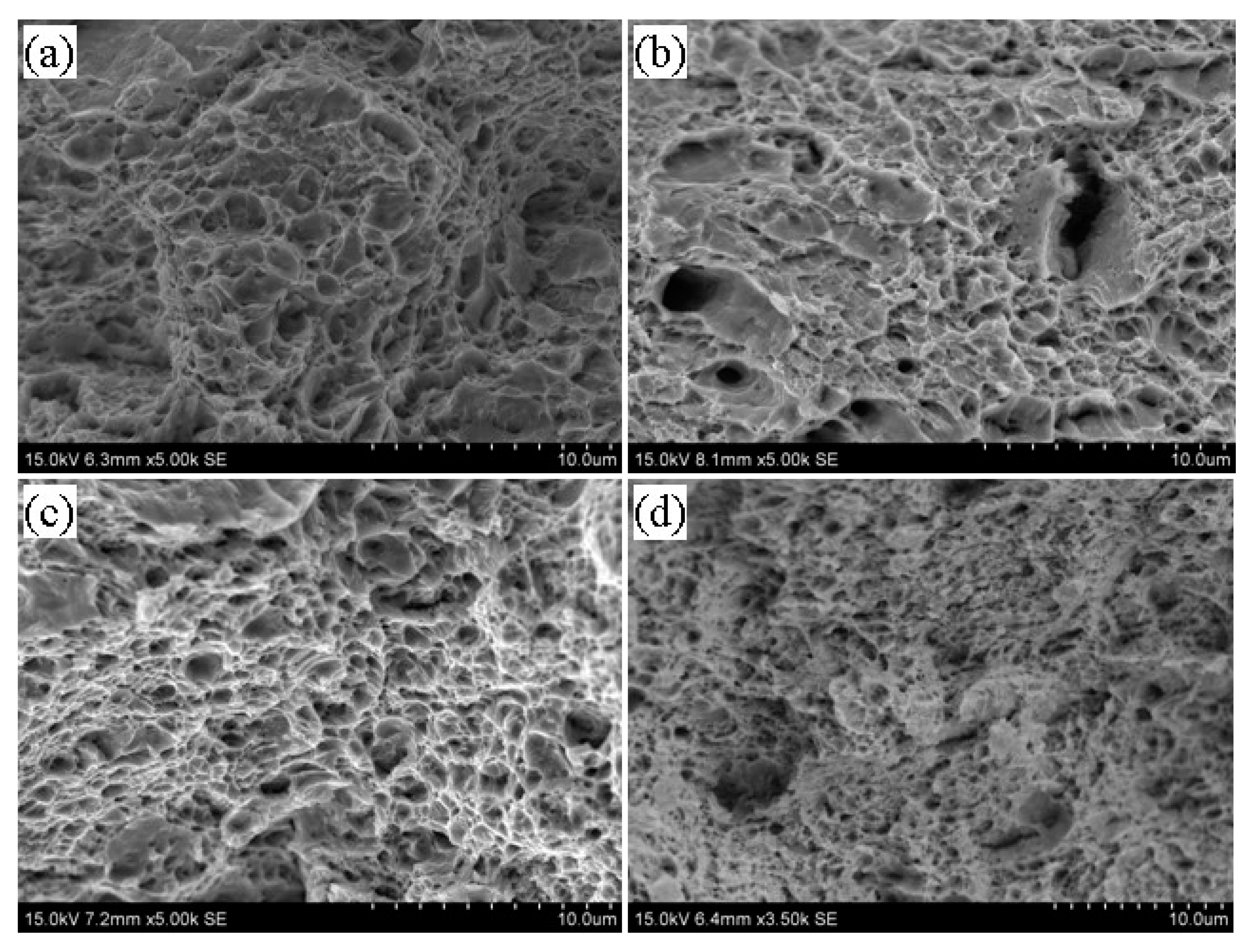 Materials 13 02910 g010