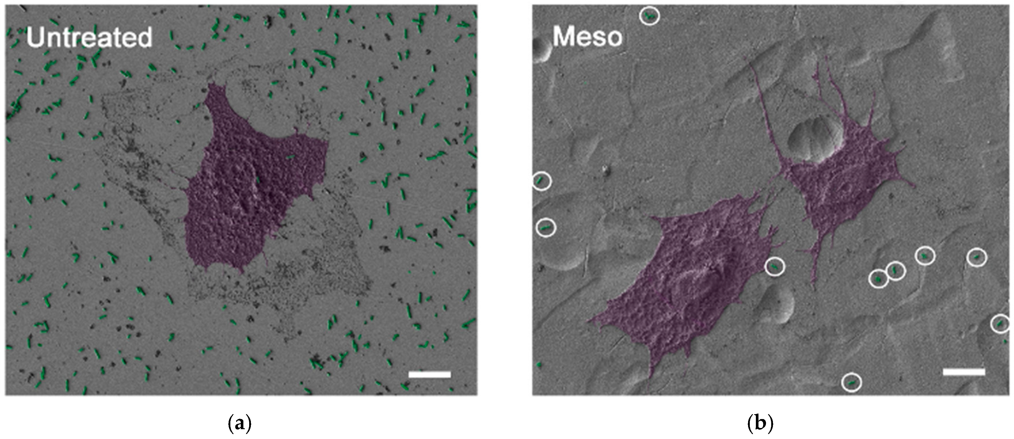 Materials 13 02944 g005 Materials 13 02944 g005