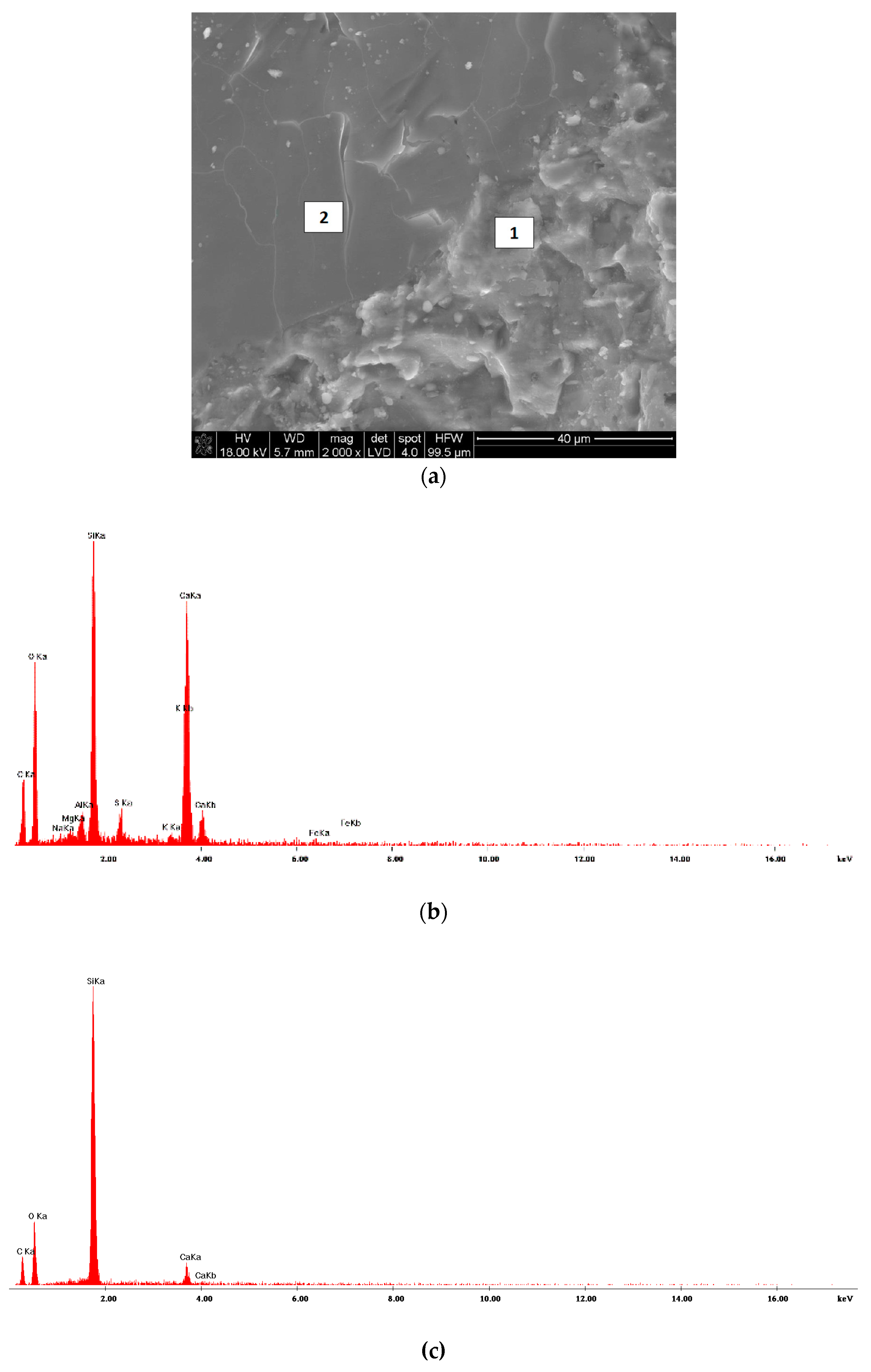 Materials 13 02948 g017