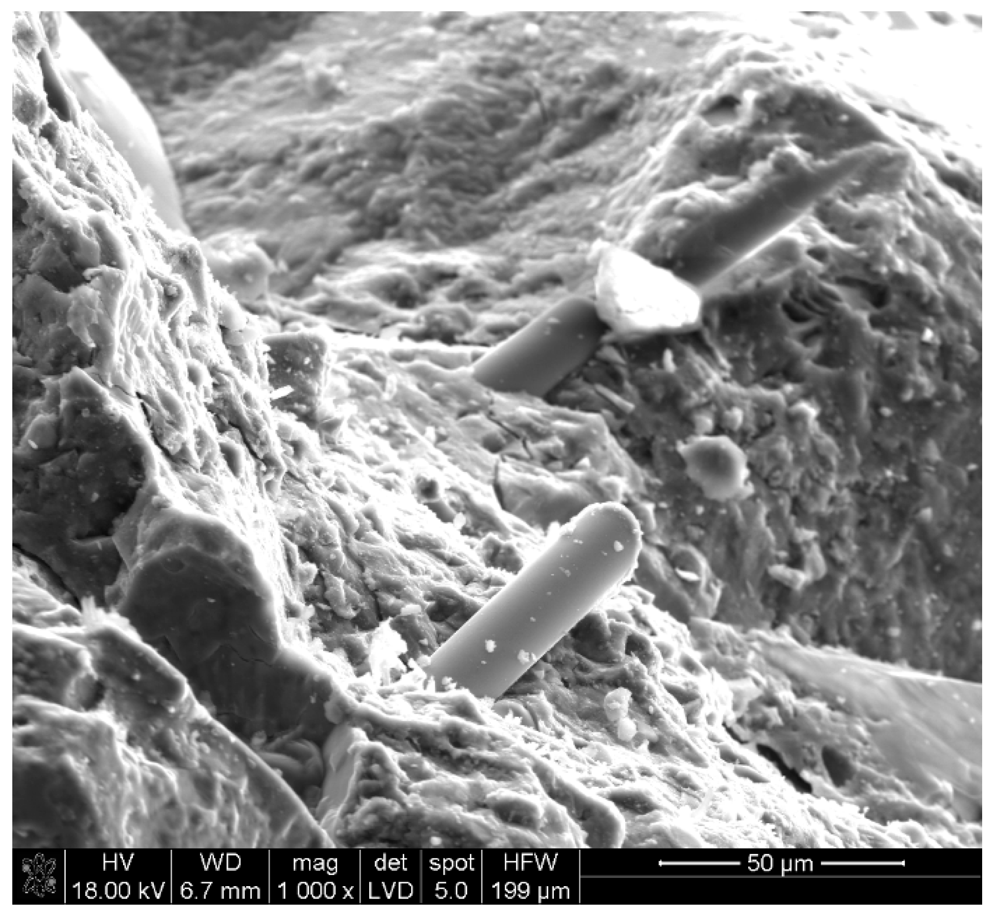 Materials 13 02948 g019