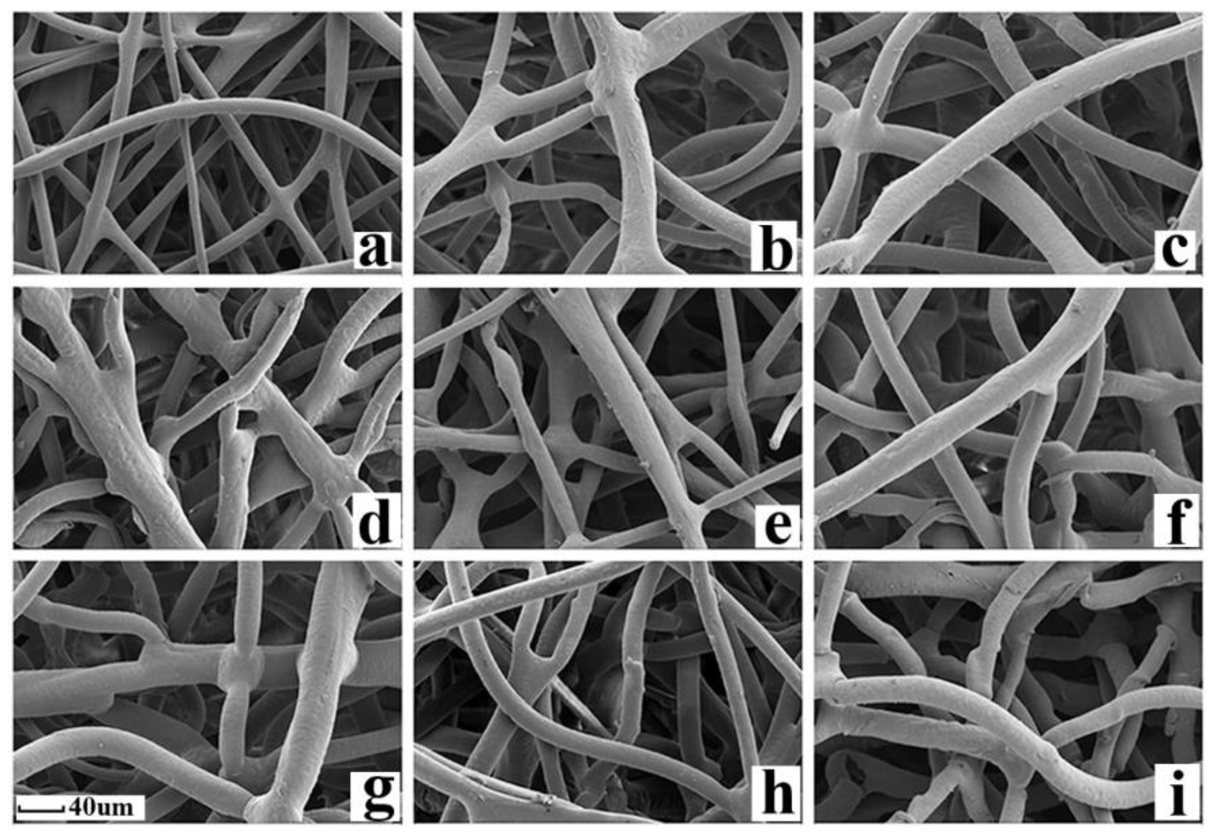 Materials 13 02958 g001