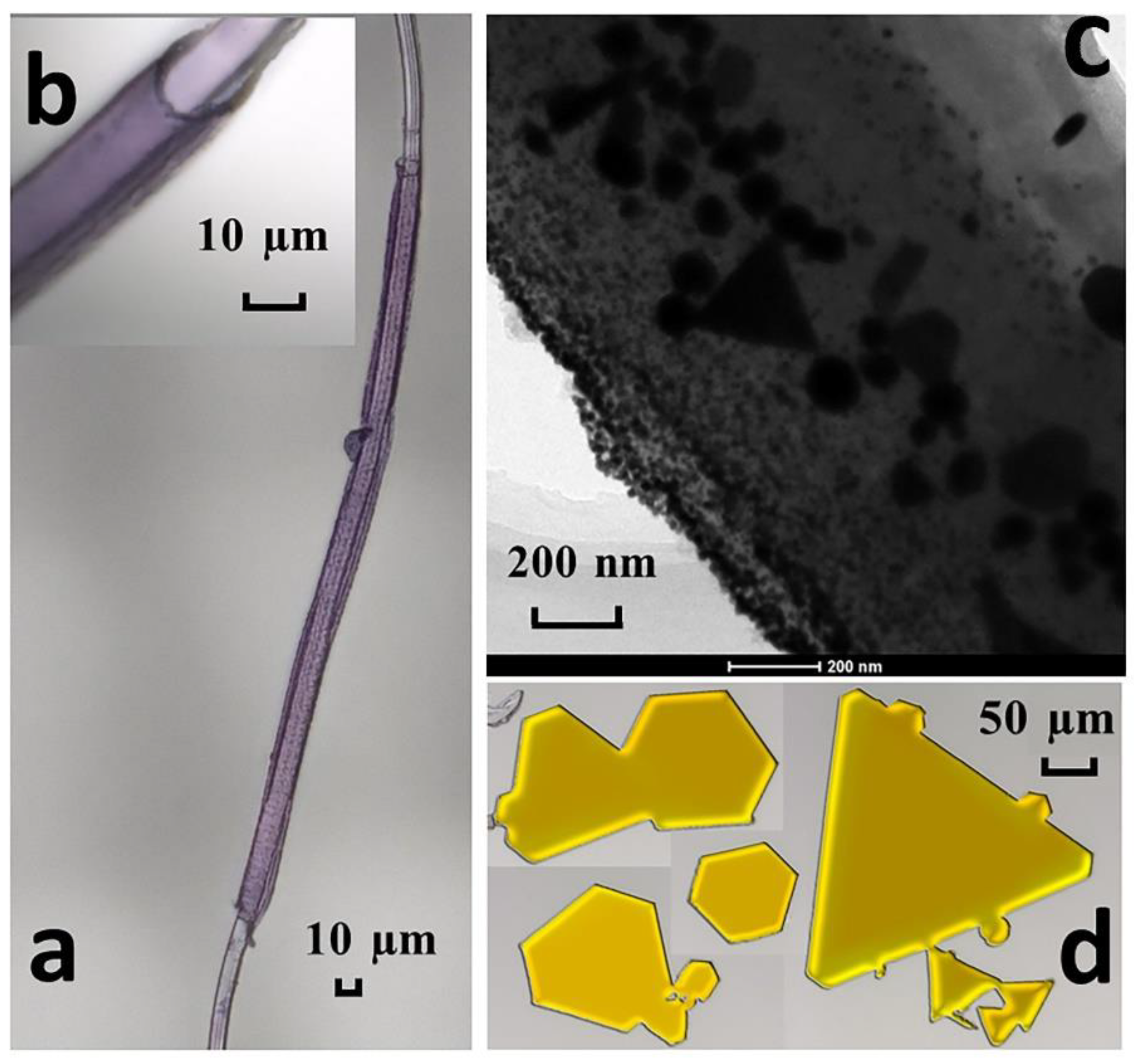 Materials 13 02958 g010