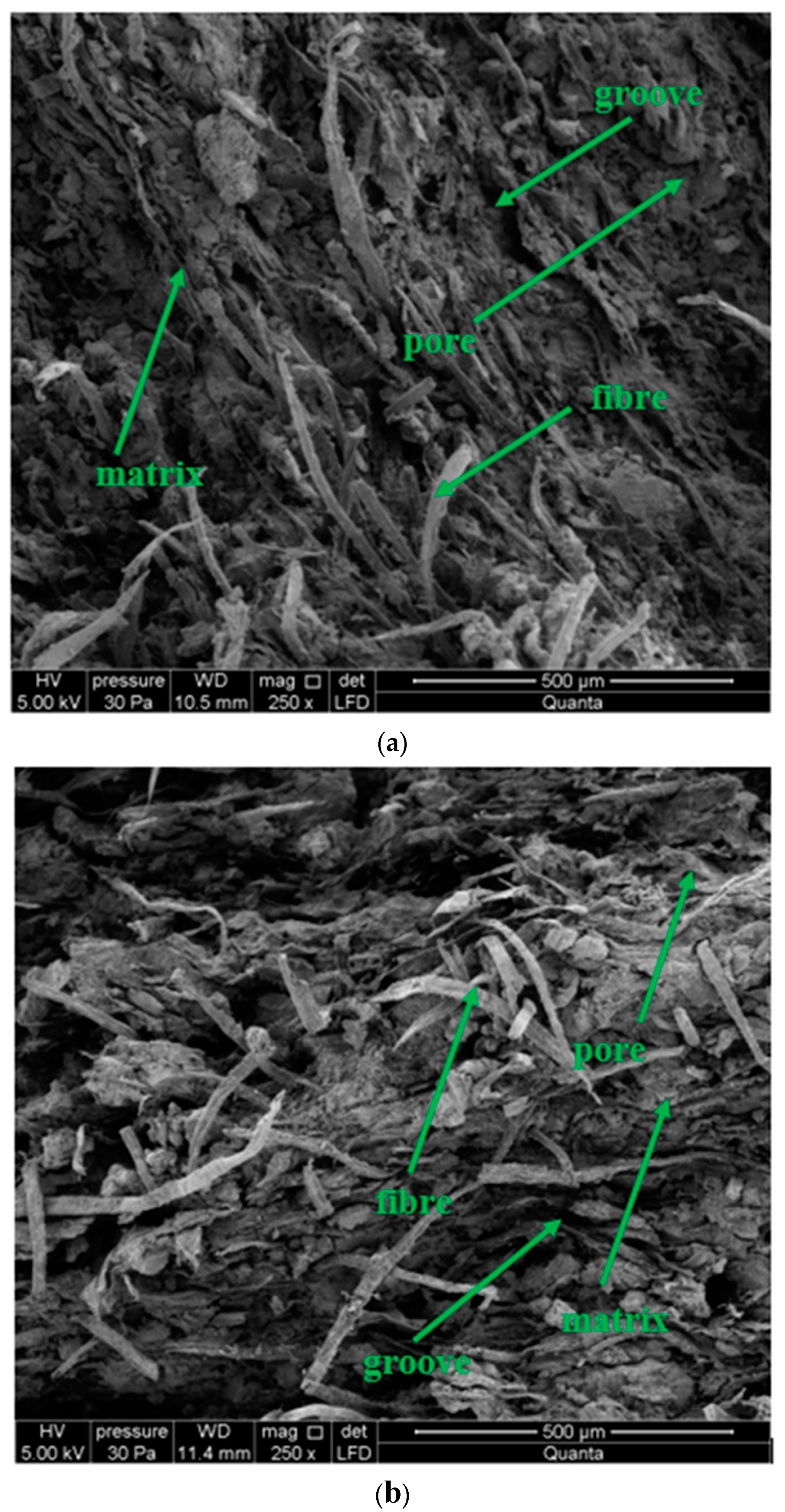 Materials 13 02966 g013a