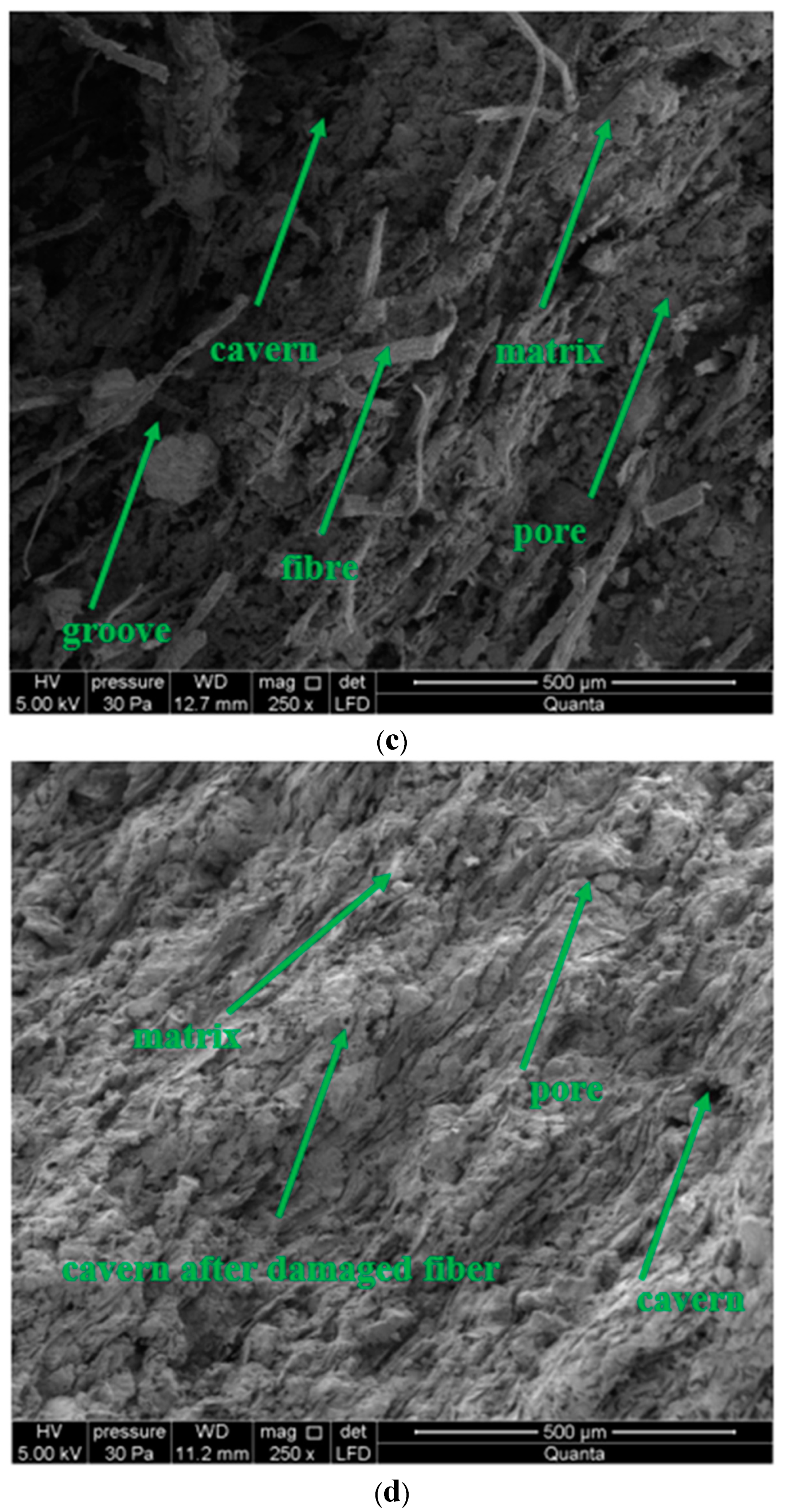 Materials 13 02966 g013b