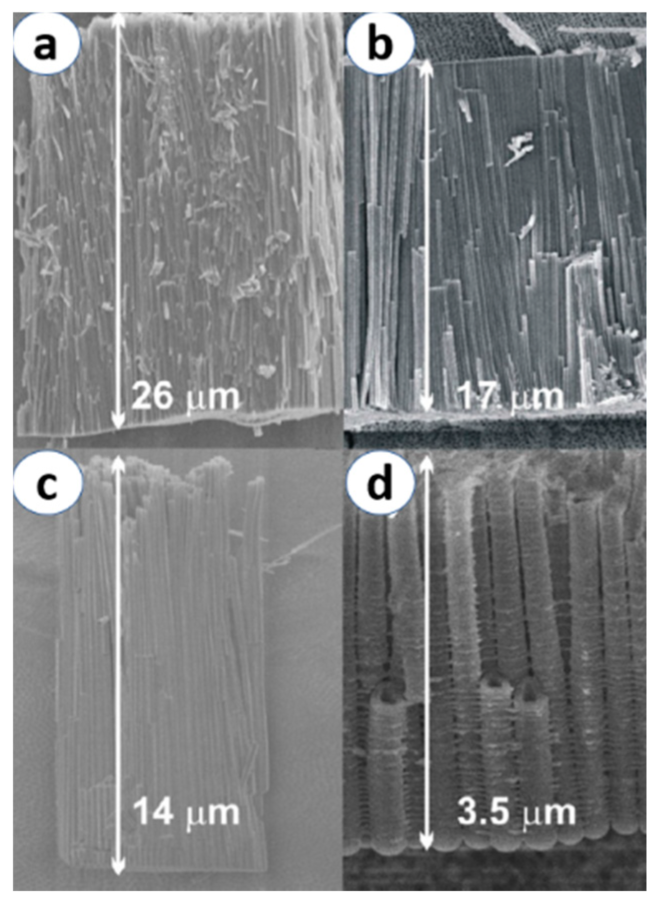 Materials 13 02974 g005 Materials 13 02974 g005