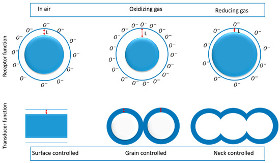 ＊ MMM様 オーダー ＊ 1D Titanium Dioxide: Achievements in Chemical Sensing