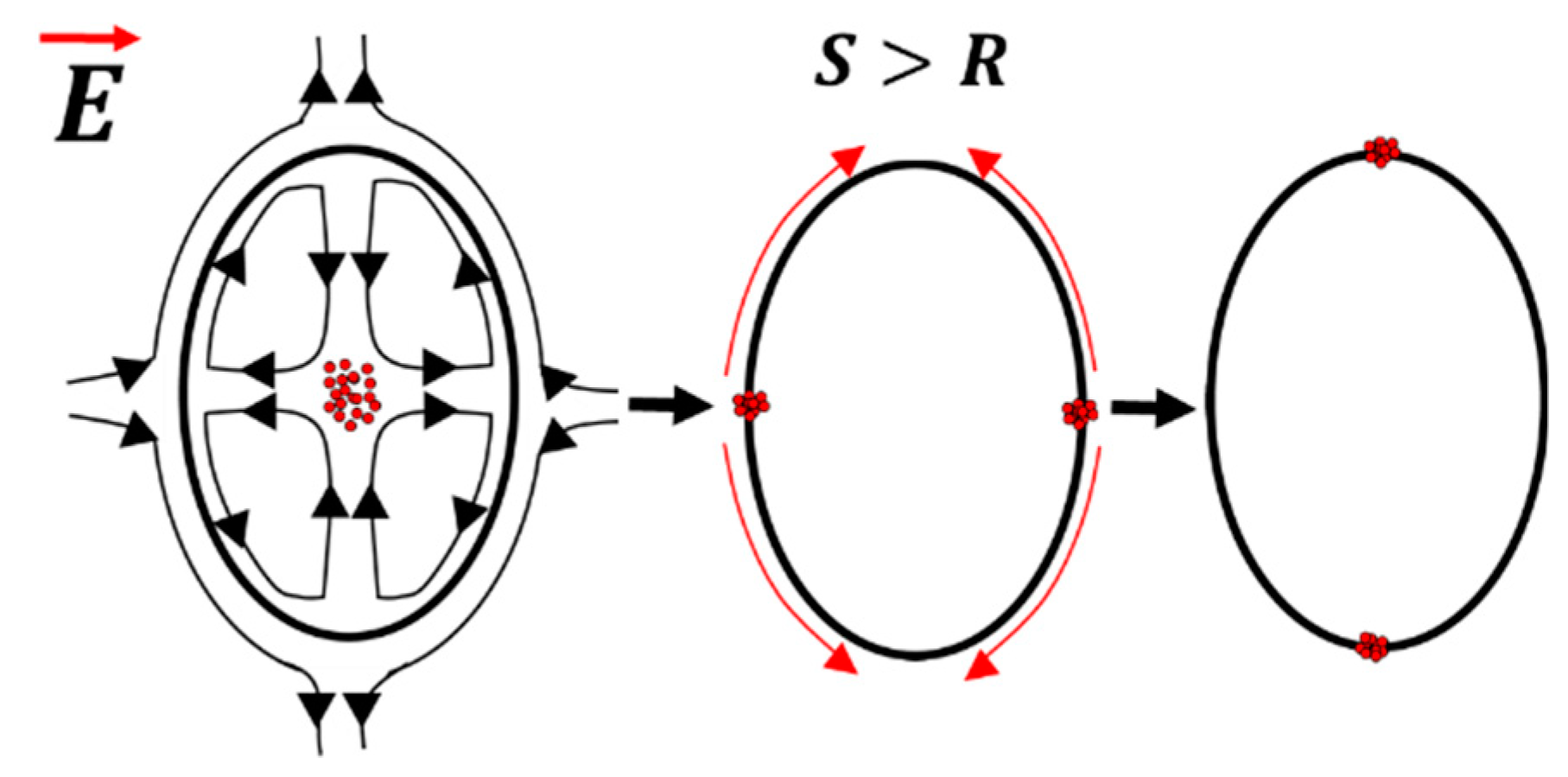 Materials 13 02984 g005