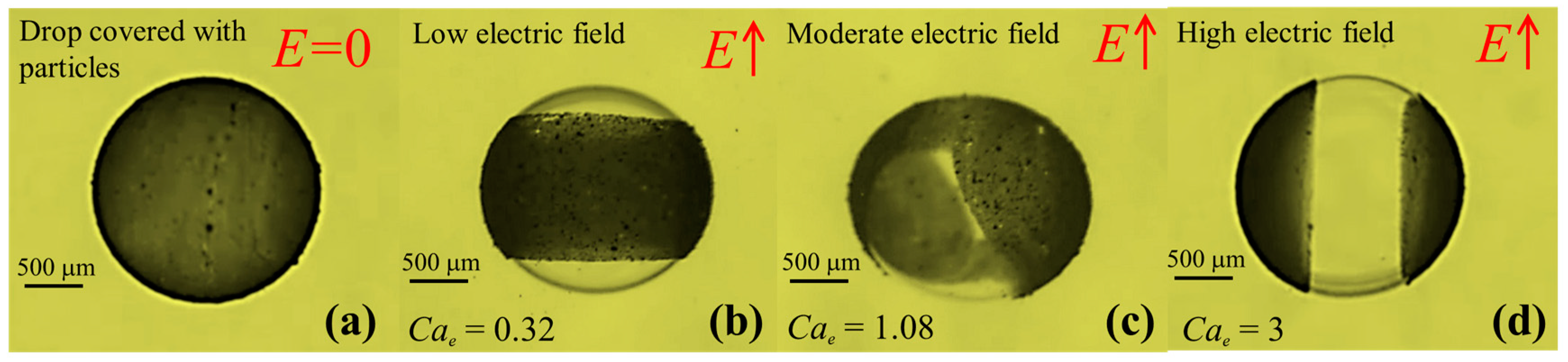 Materials 13 02984 g006