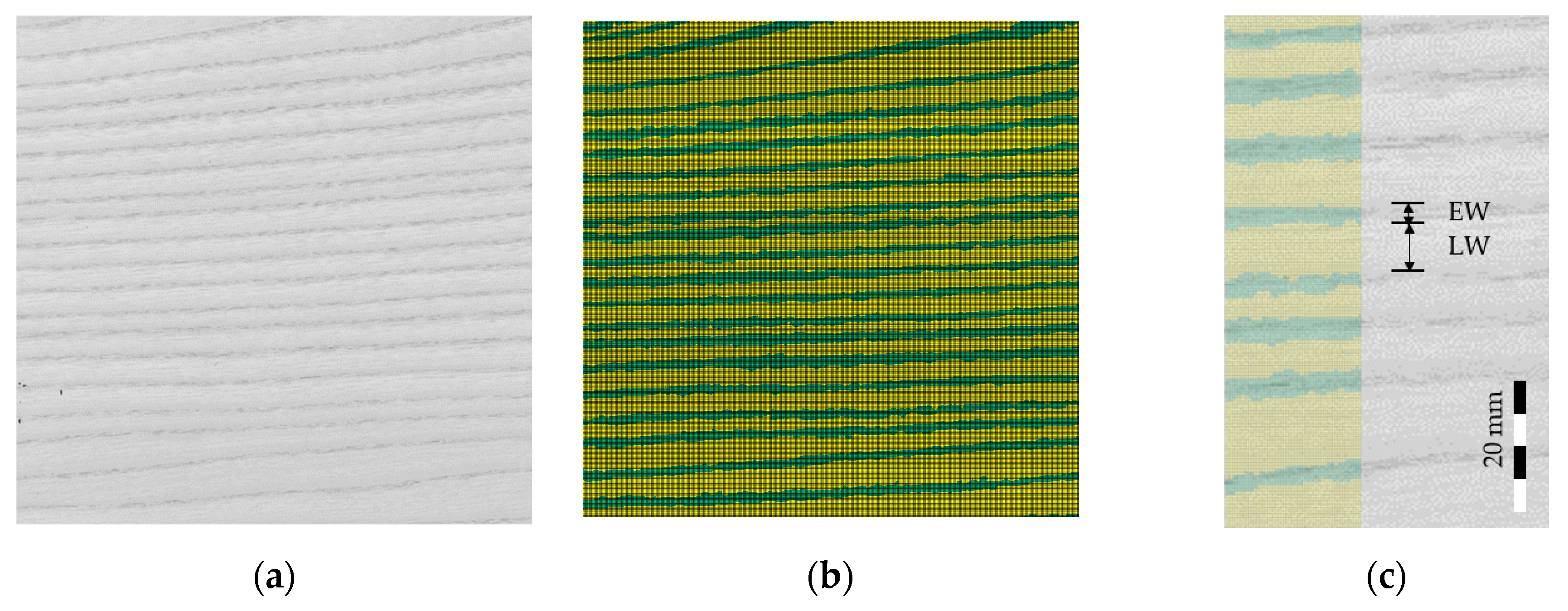 Materials 13 02993 g008