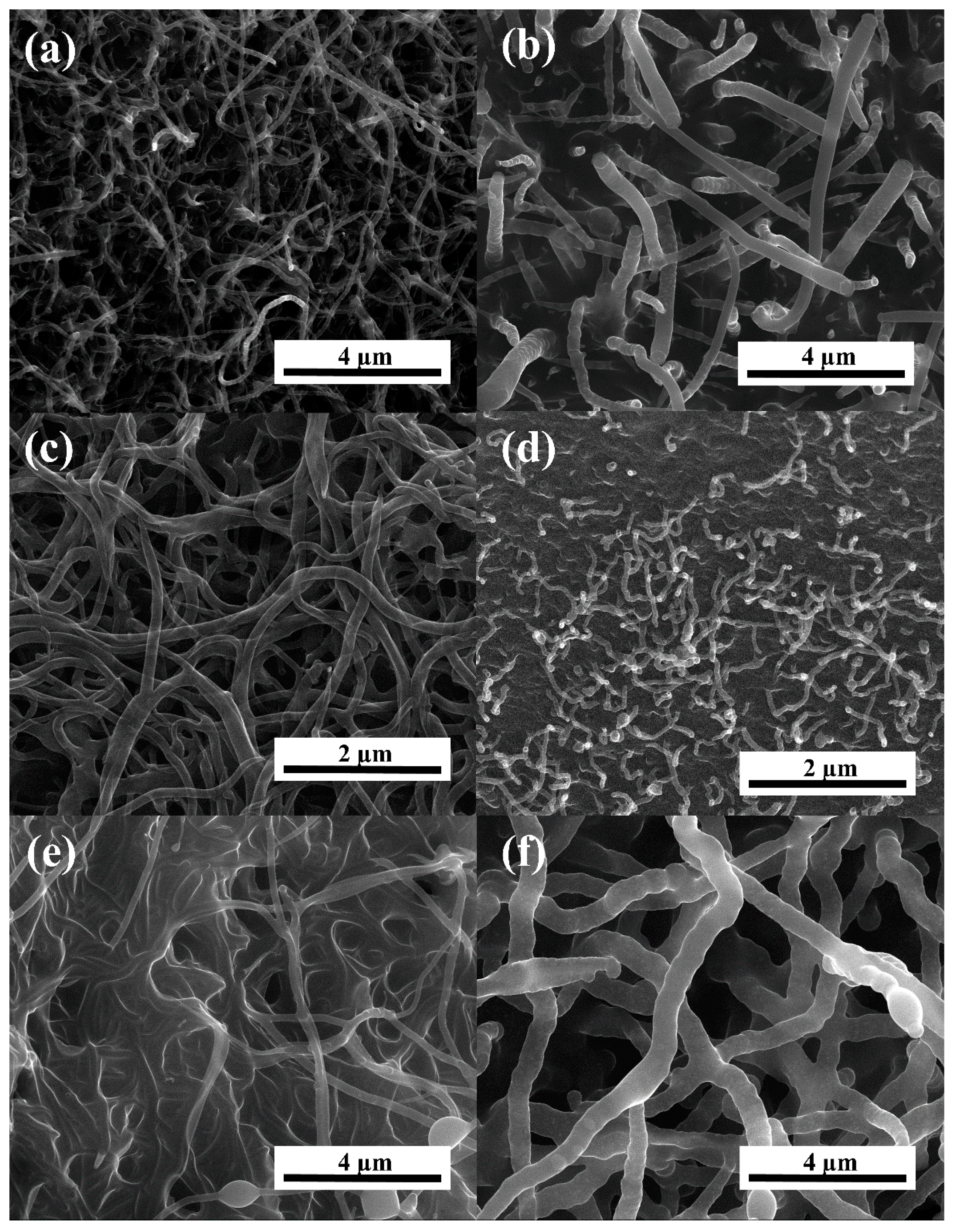 Materials 13 02997 g001