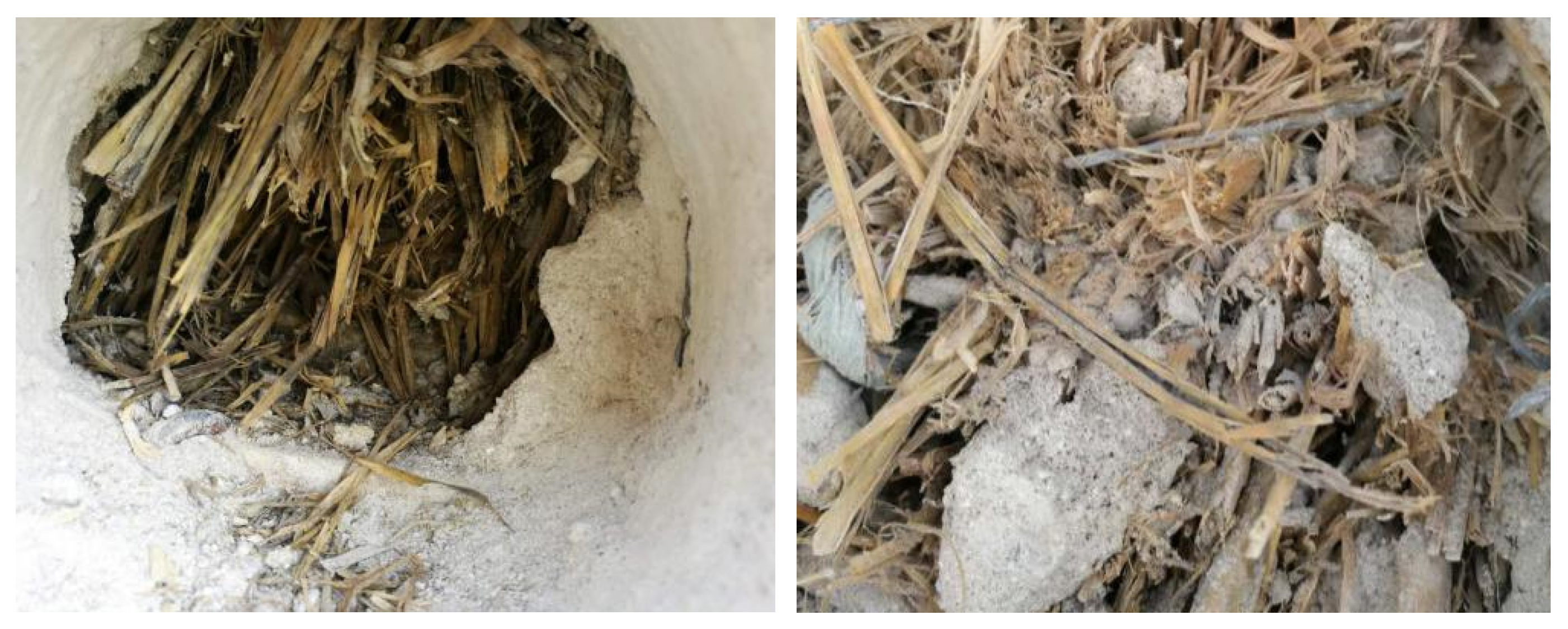 Materials 13 03007 g010