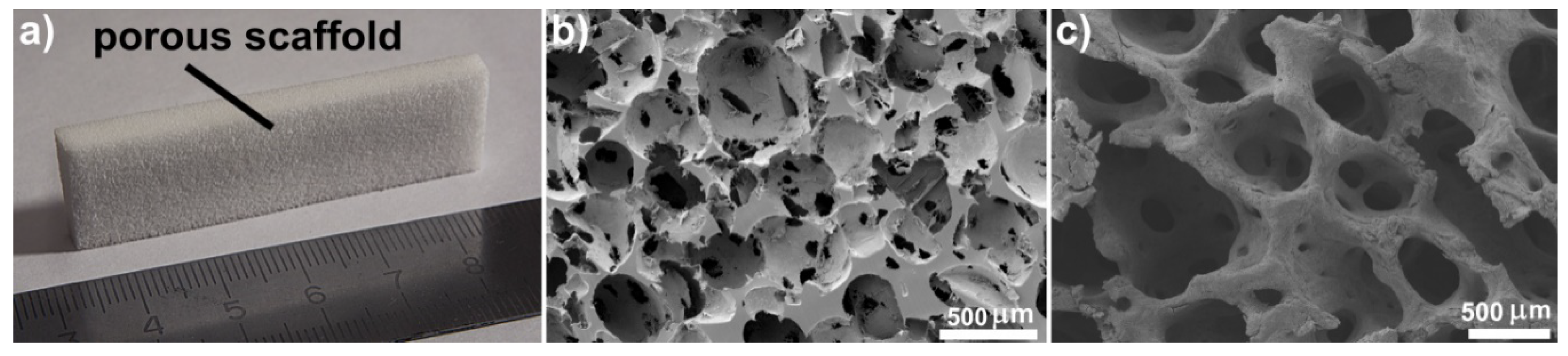 Materials 13 03010 g001 Materials 13 03010 g001