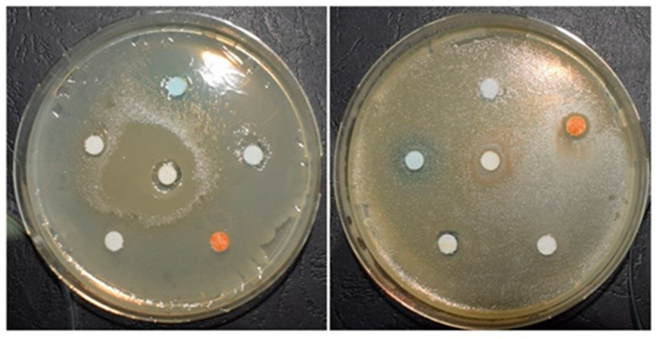 Materials 13 03012 g005