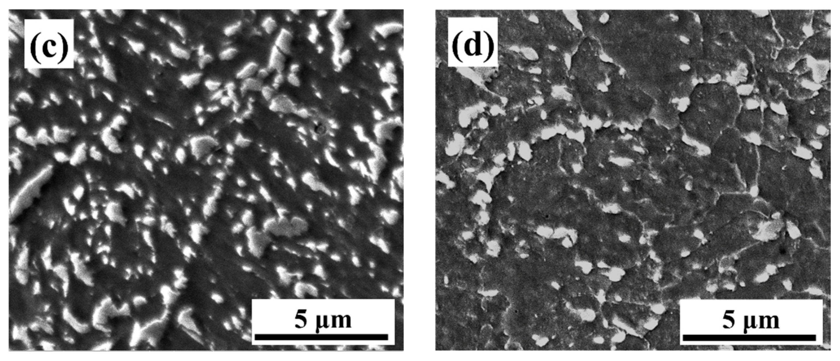 Materials 13 03013 g004b Materials 13 03013 g004b