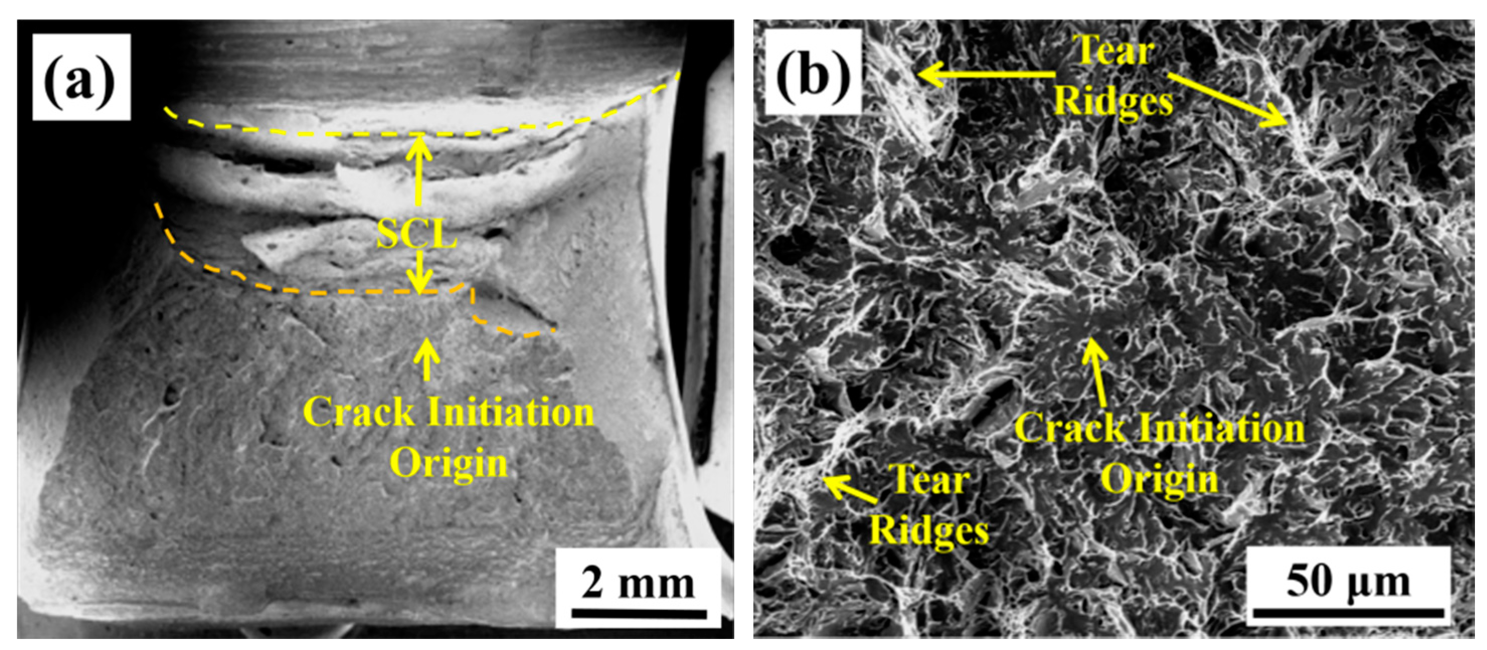 Materials 13 03013 g014 Materials 13 03013 g014