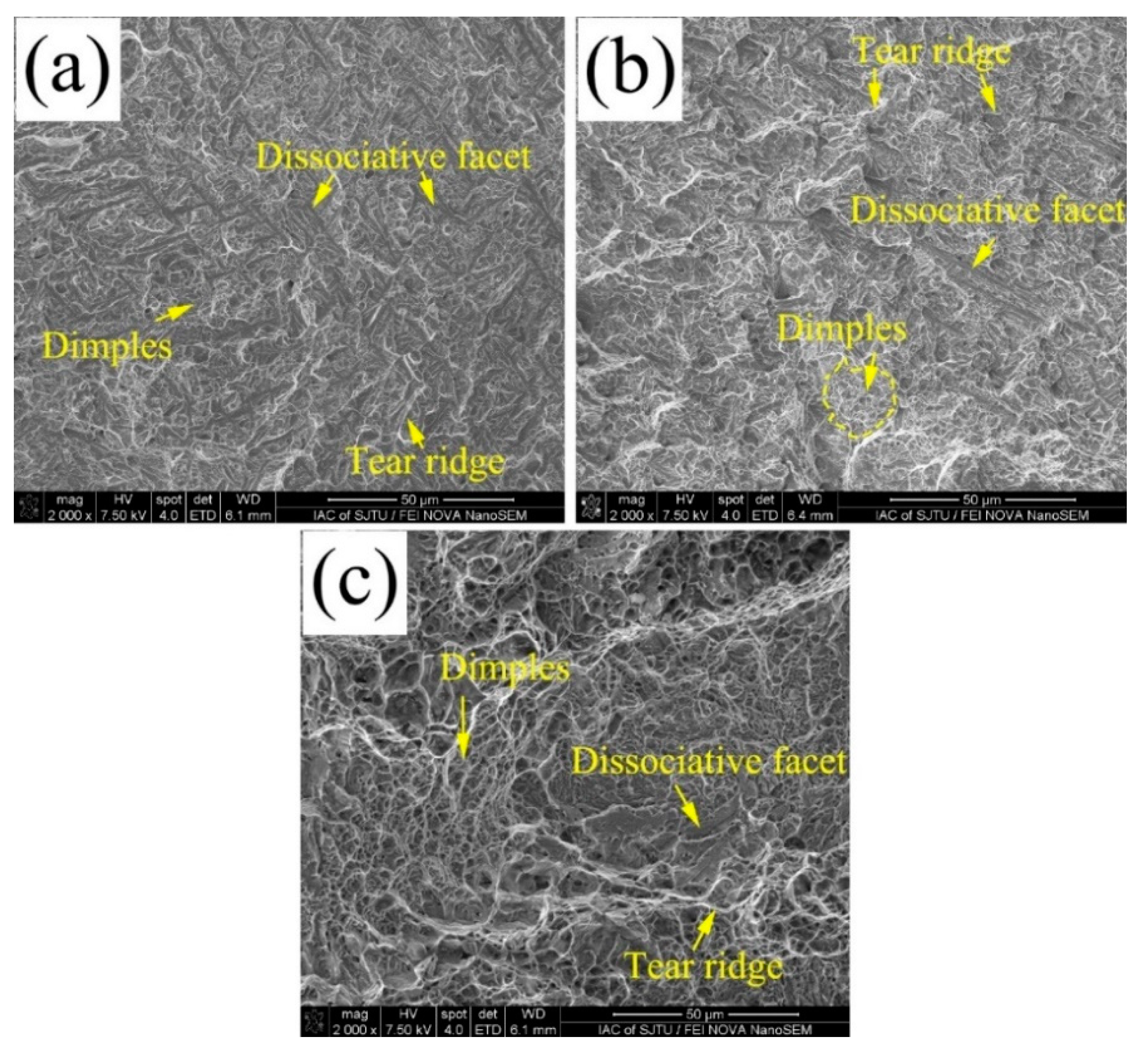 Materials 13 03017 g013