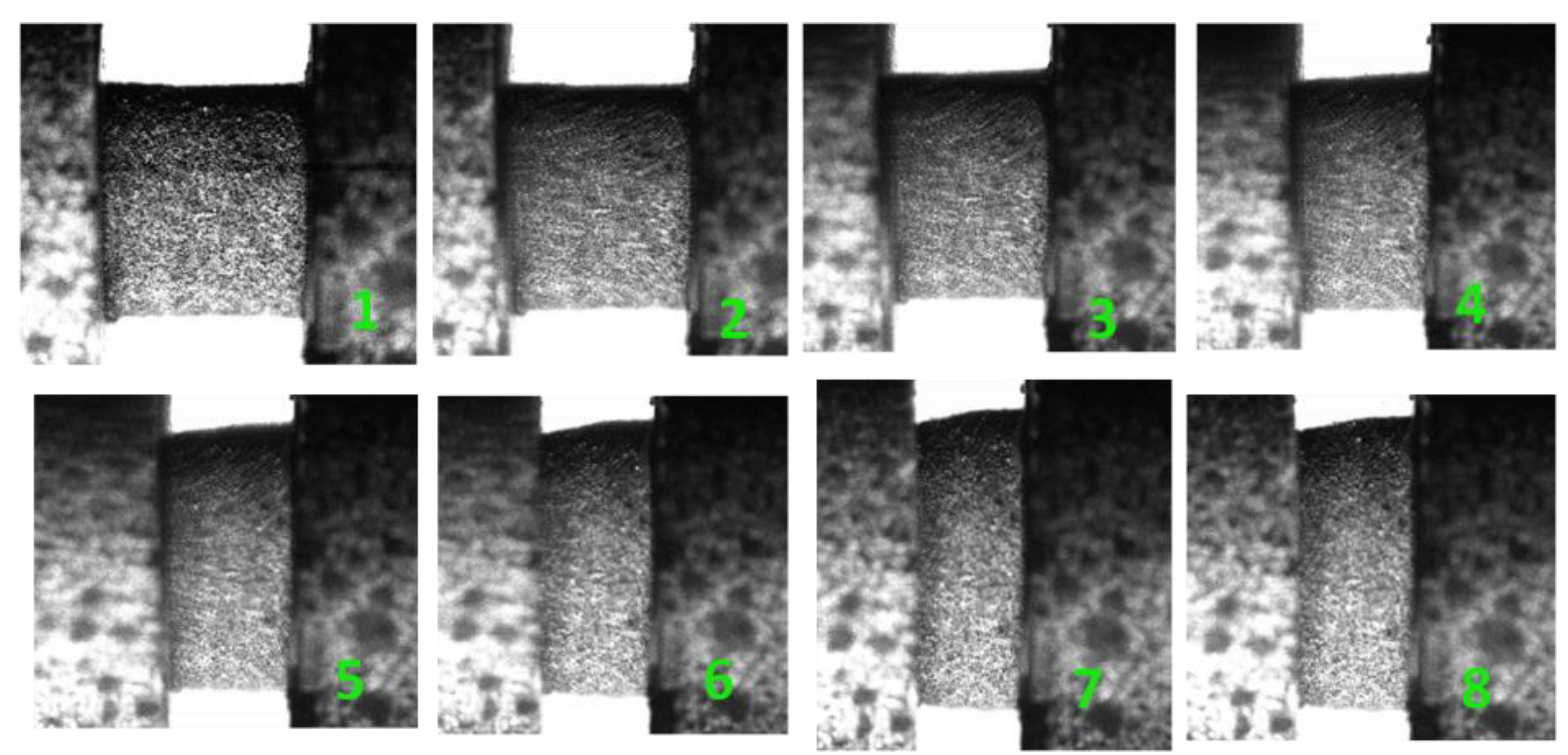 Materials 13 03031 g005