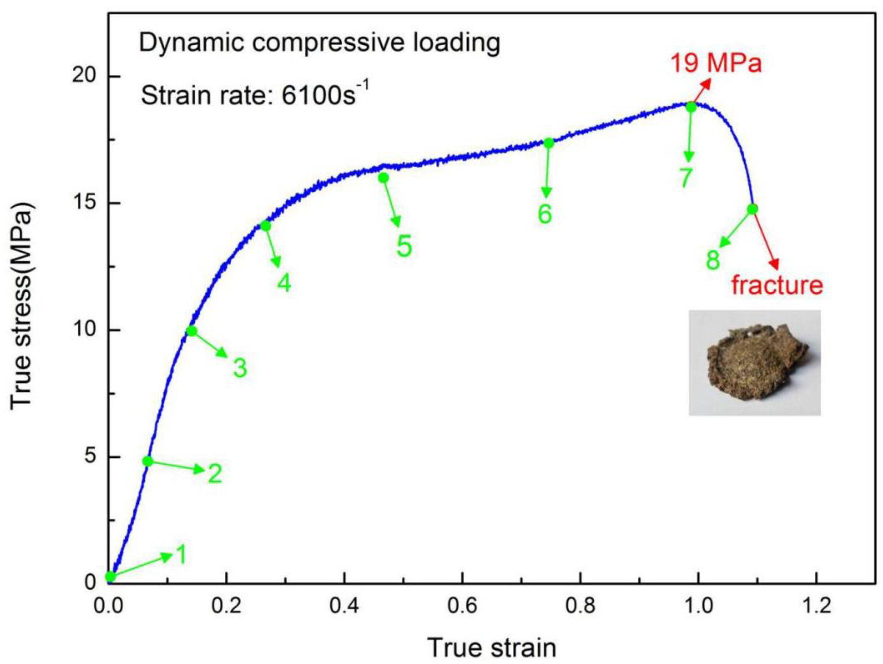 Materials 13 03031 g007