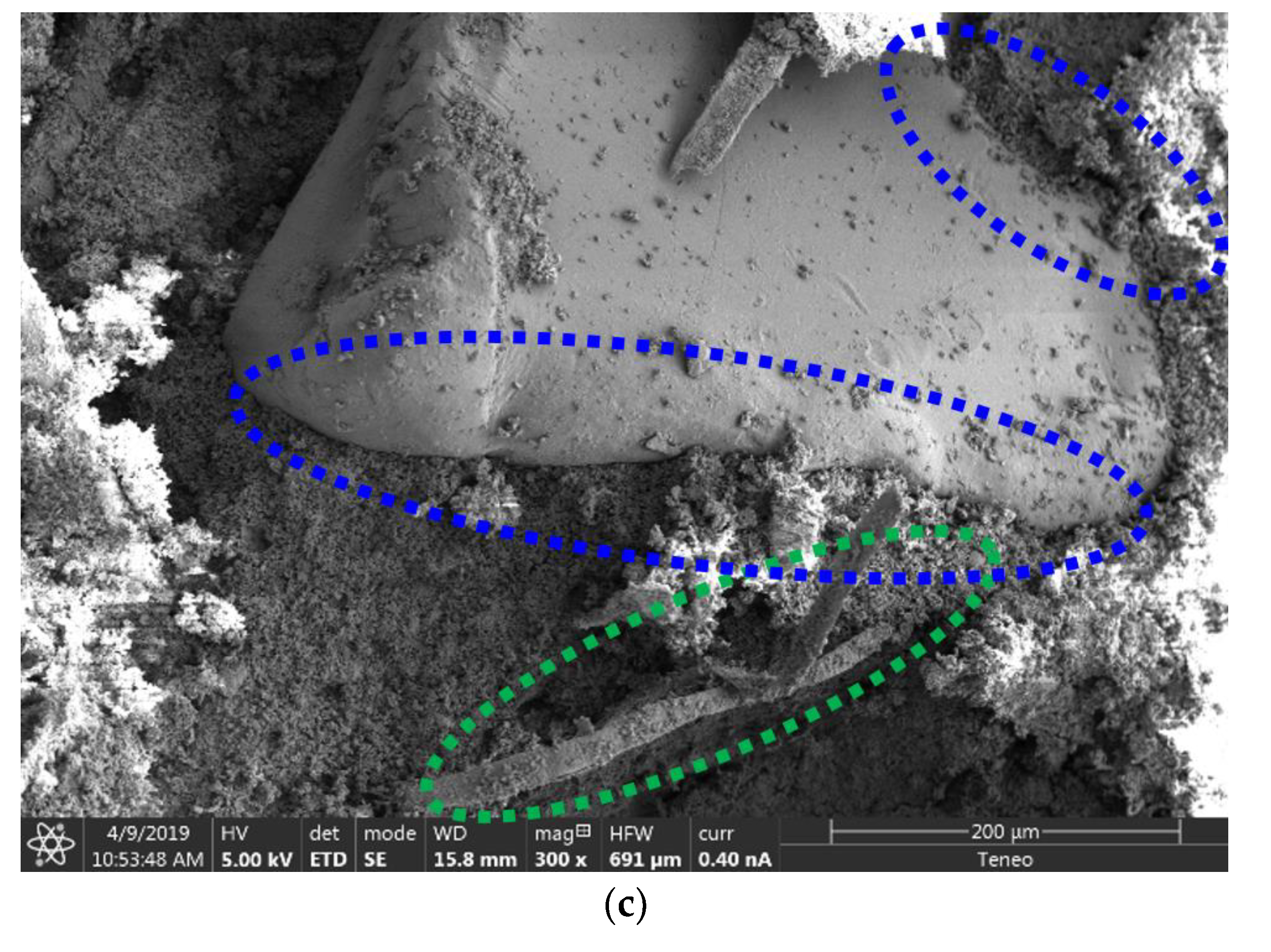 Materials 13 03042 g008b Materials 13 03042 g008b