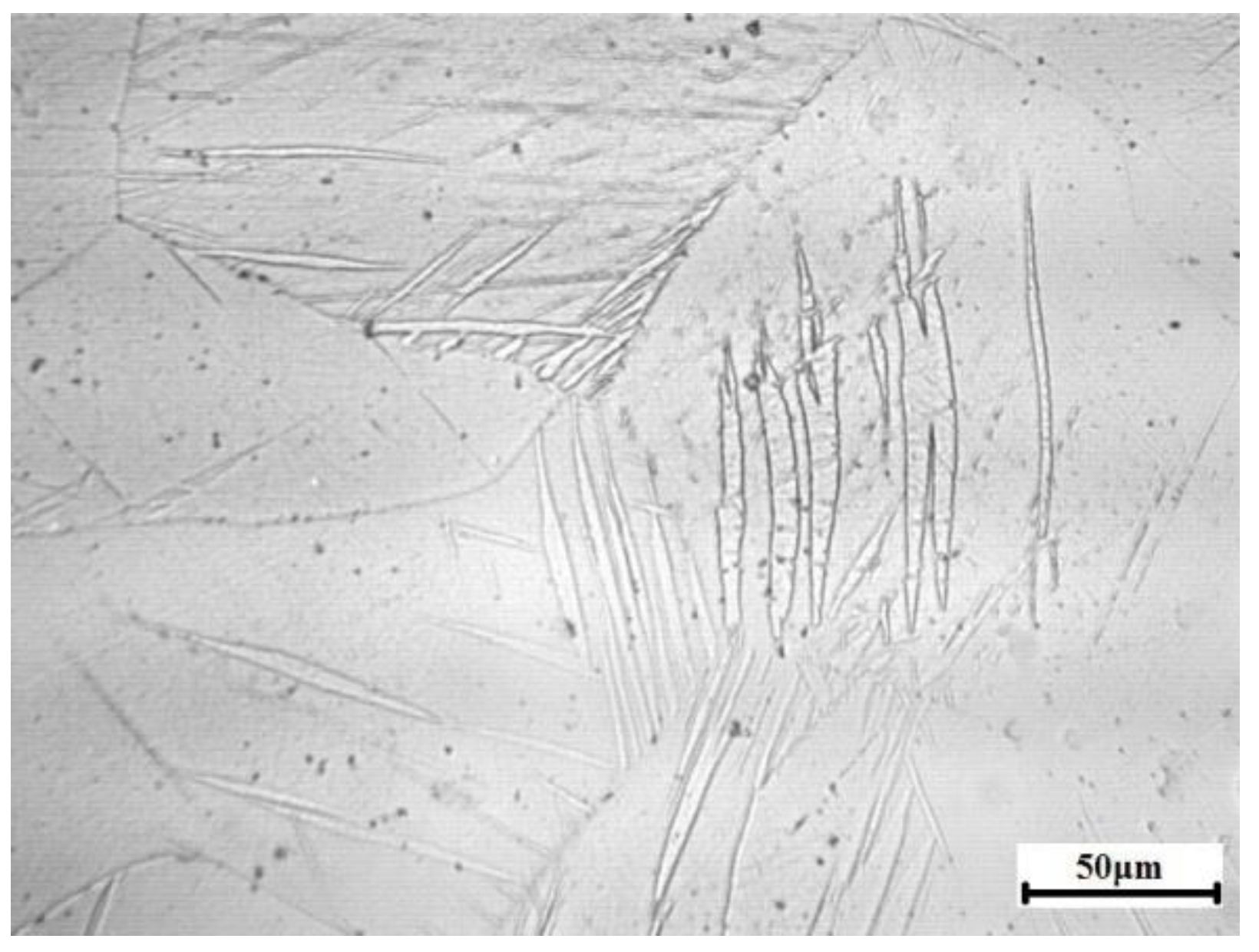 Materials 13 03050 g001 Materials 13 03050 g001
