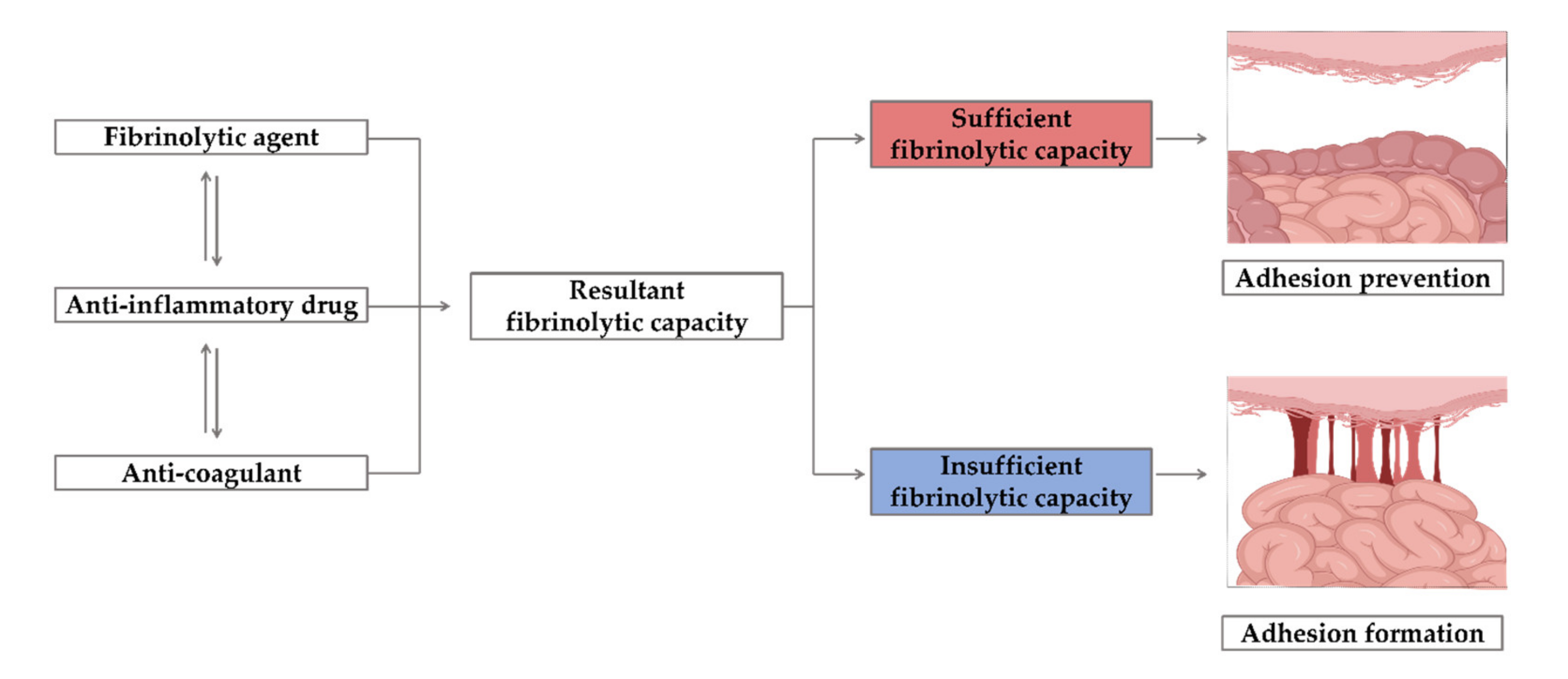 Materials 13 03056 g008 Materials 13 03056 g008