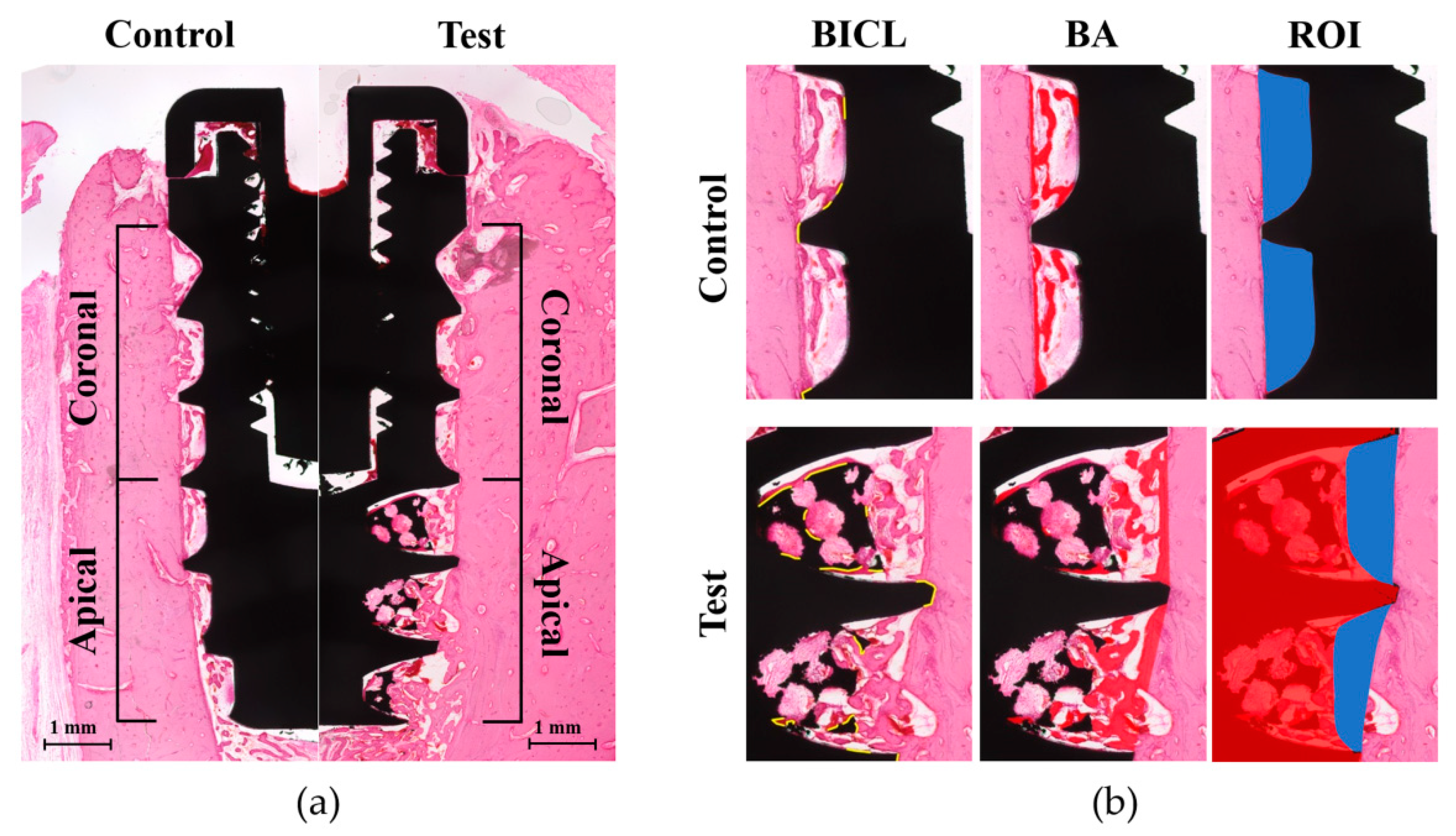 Materials 13 03061 g004 Materials 13 03061 g004