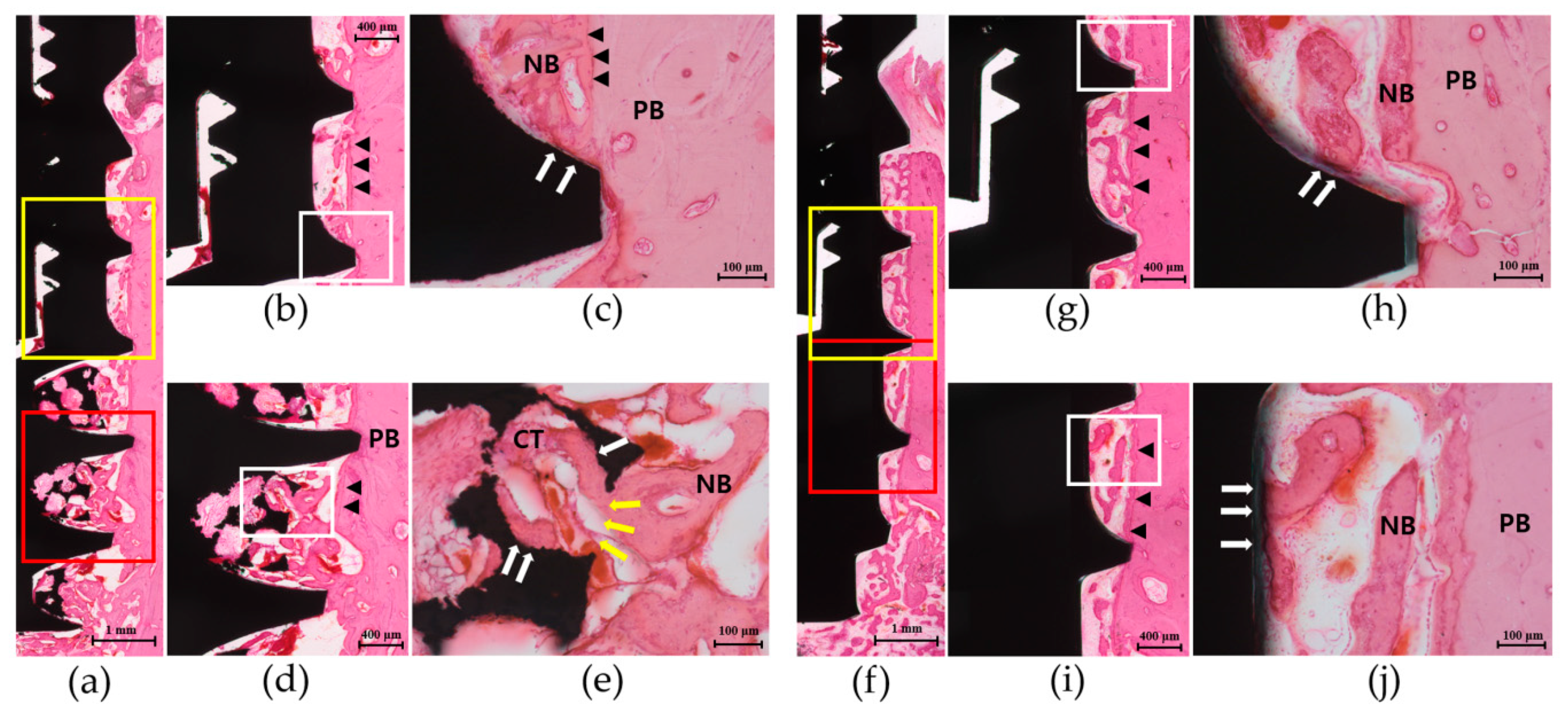 Materials 13 03061 g006 Materials 13 03061 g006