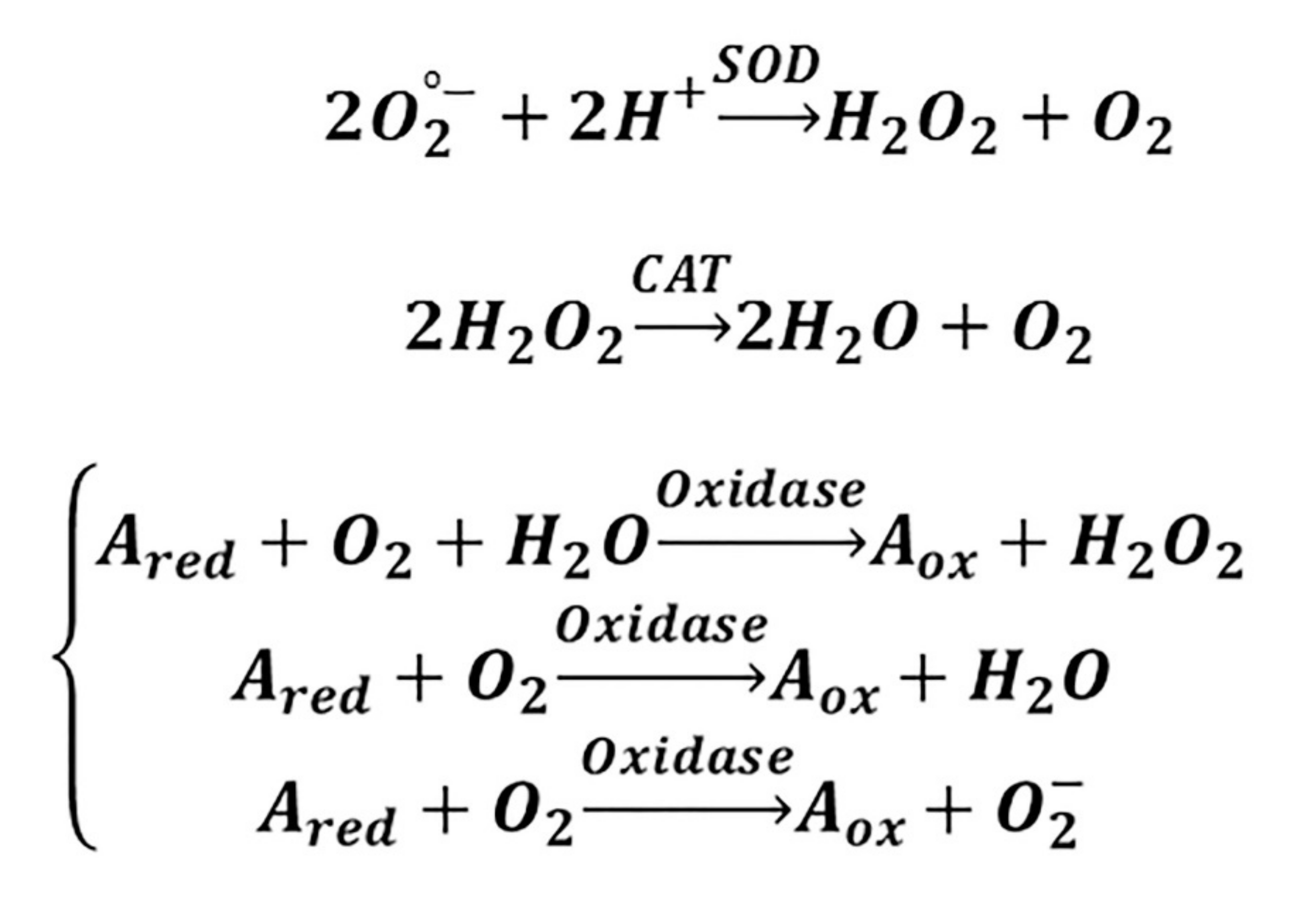 Materials 13 03072 g004
